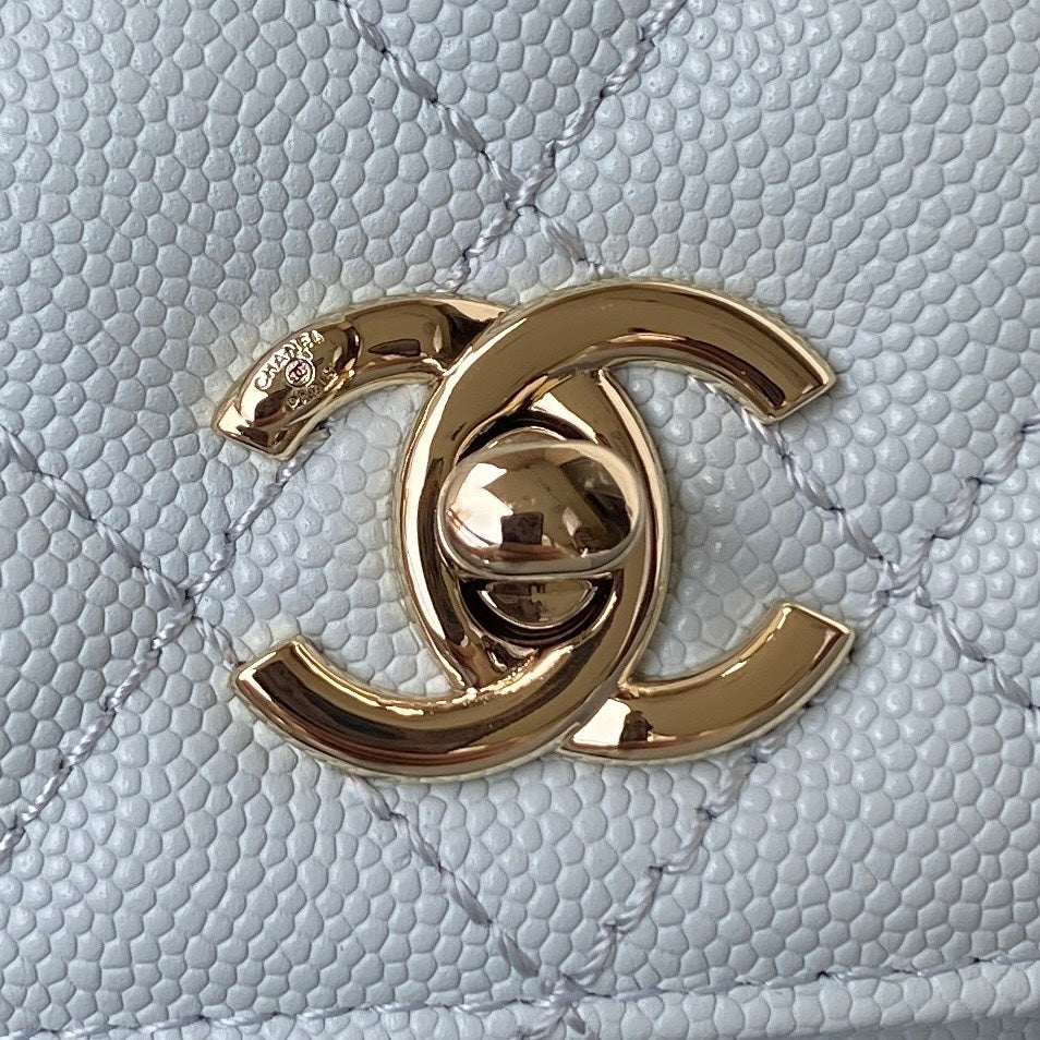 Coco Handle Mini Bag