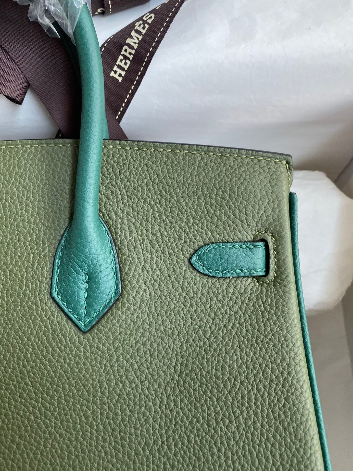 Birkin 25cm Togo Leather Handbag
