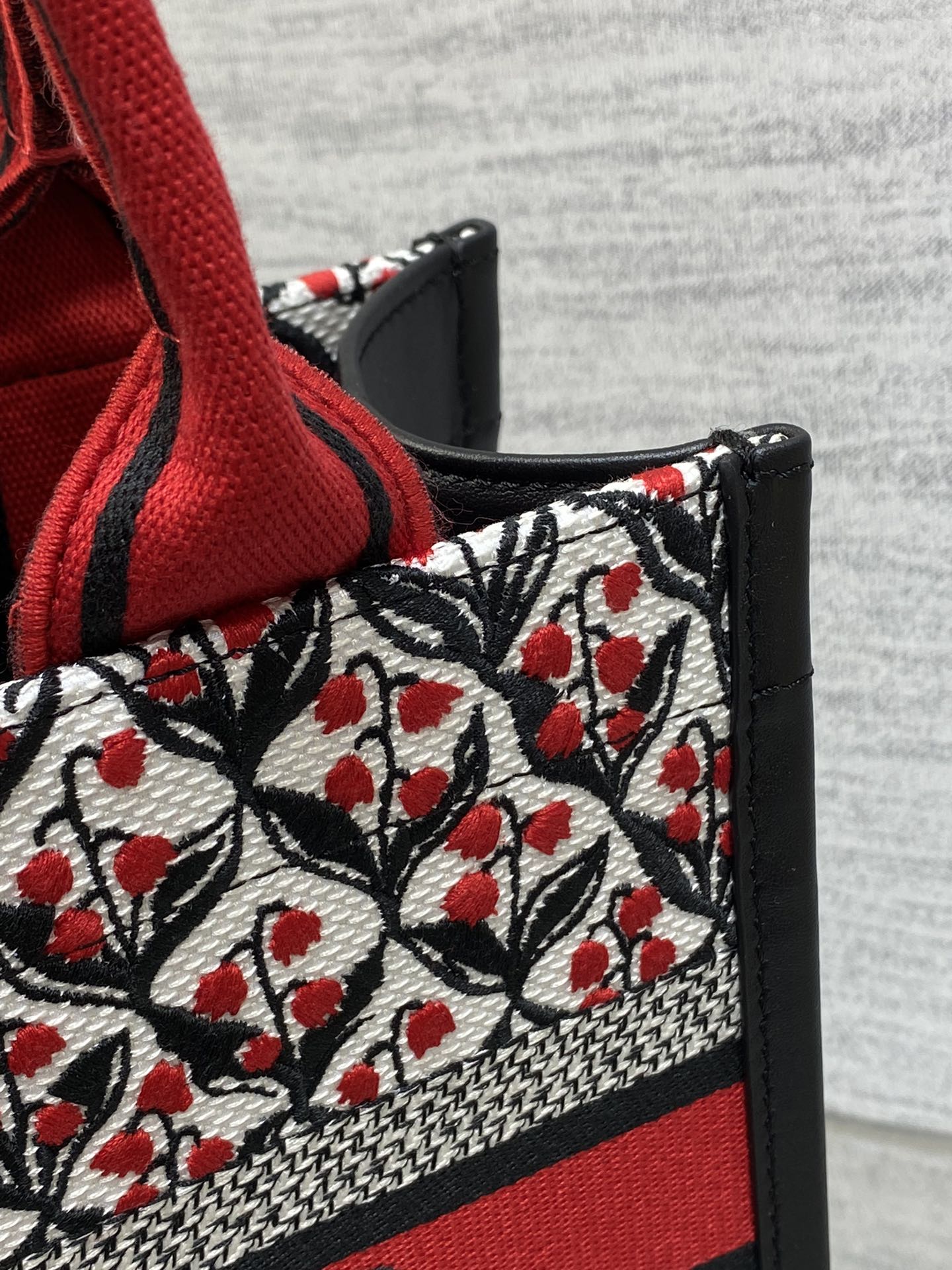 Canvas Mini Tote Bag with Leather Trim