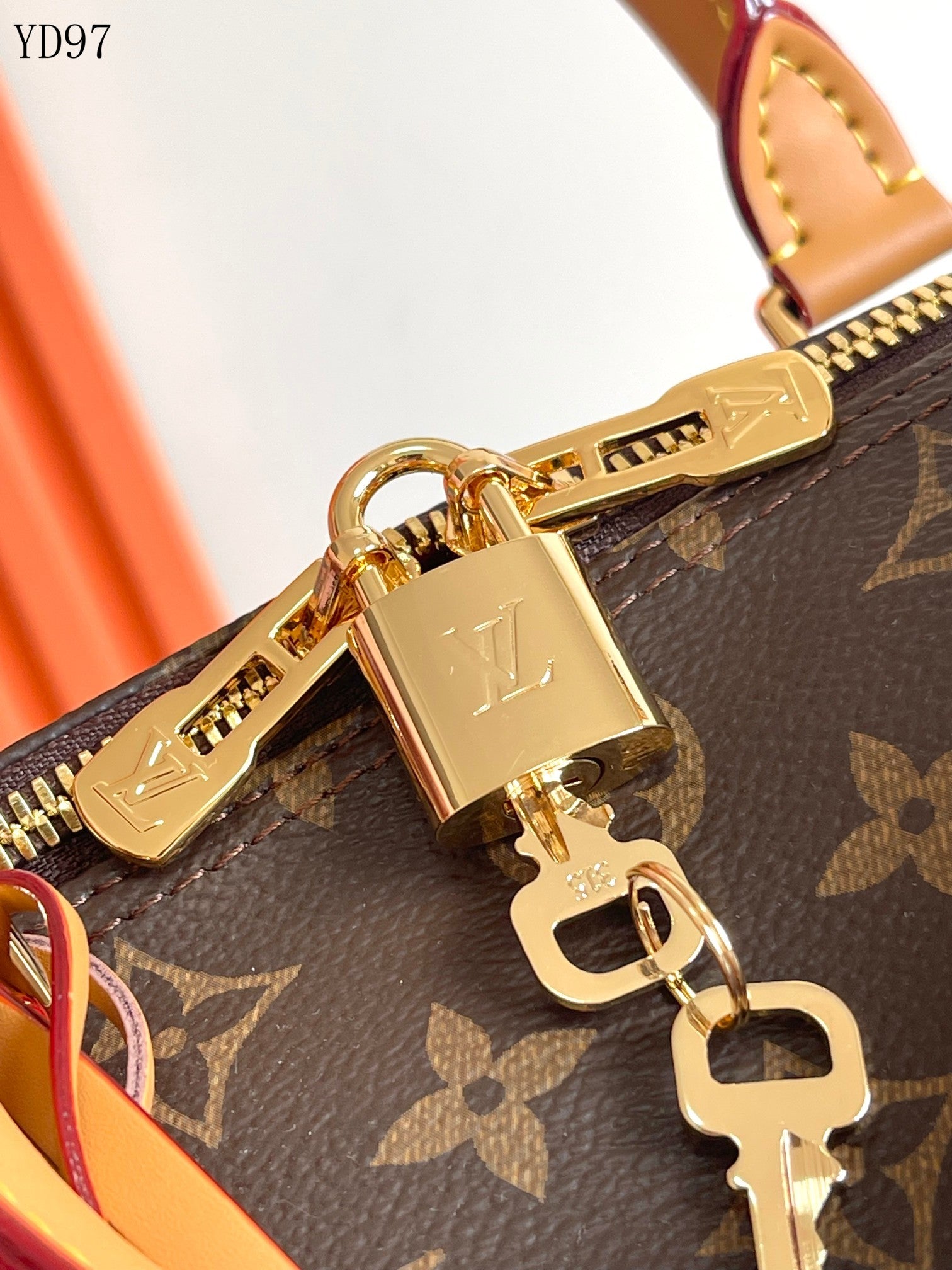 Speedy Bandoulière 30 Bag