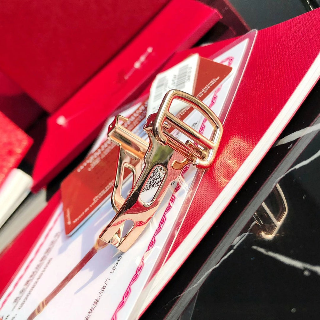 Ballon Bleu Watch – Automatic, Brown Leather