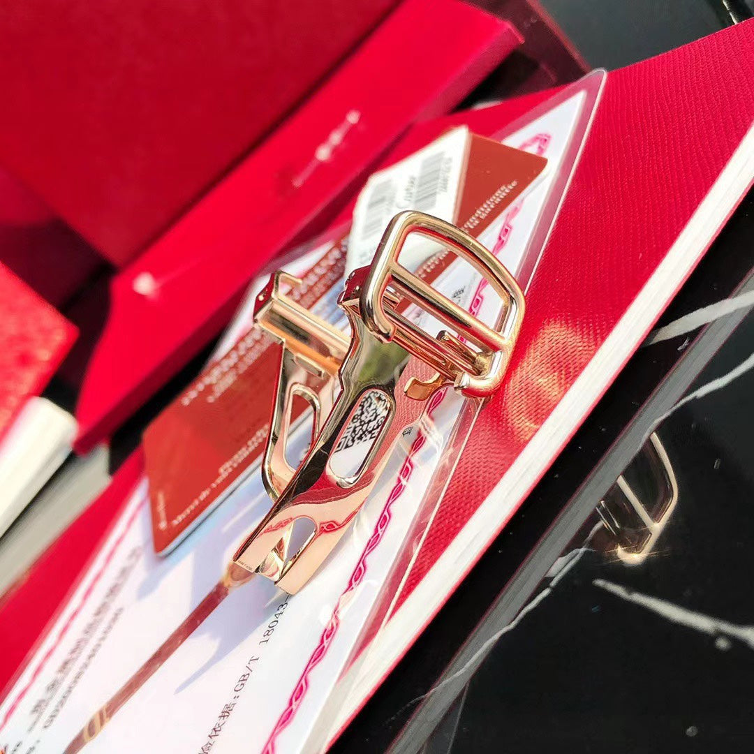 Ballon Bleu Watch – 42 mm Automatic, Brown Dial & Leather