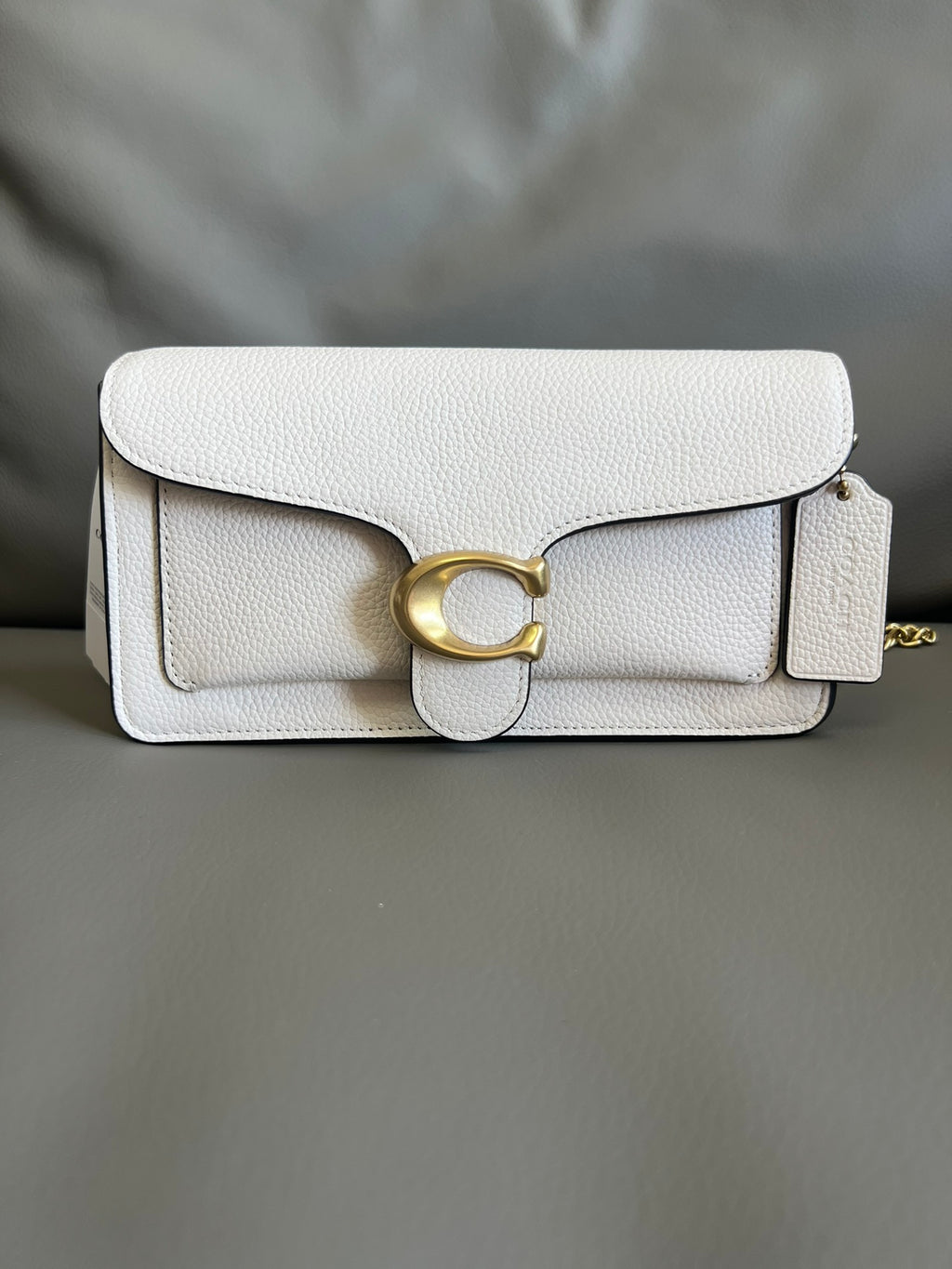 Mini Tabby Chain Bag