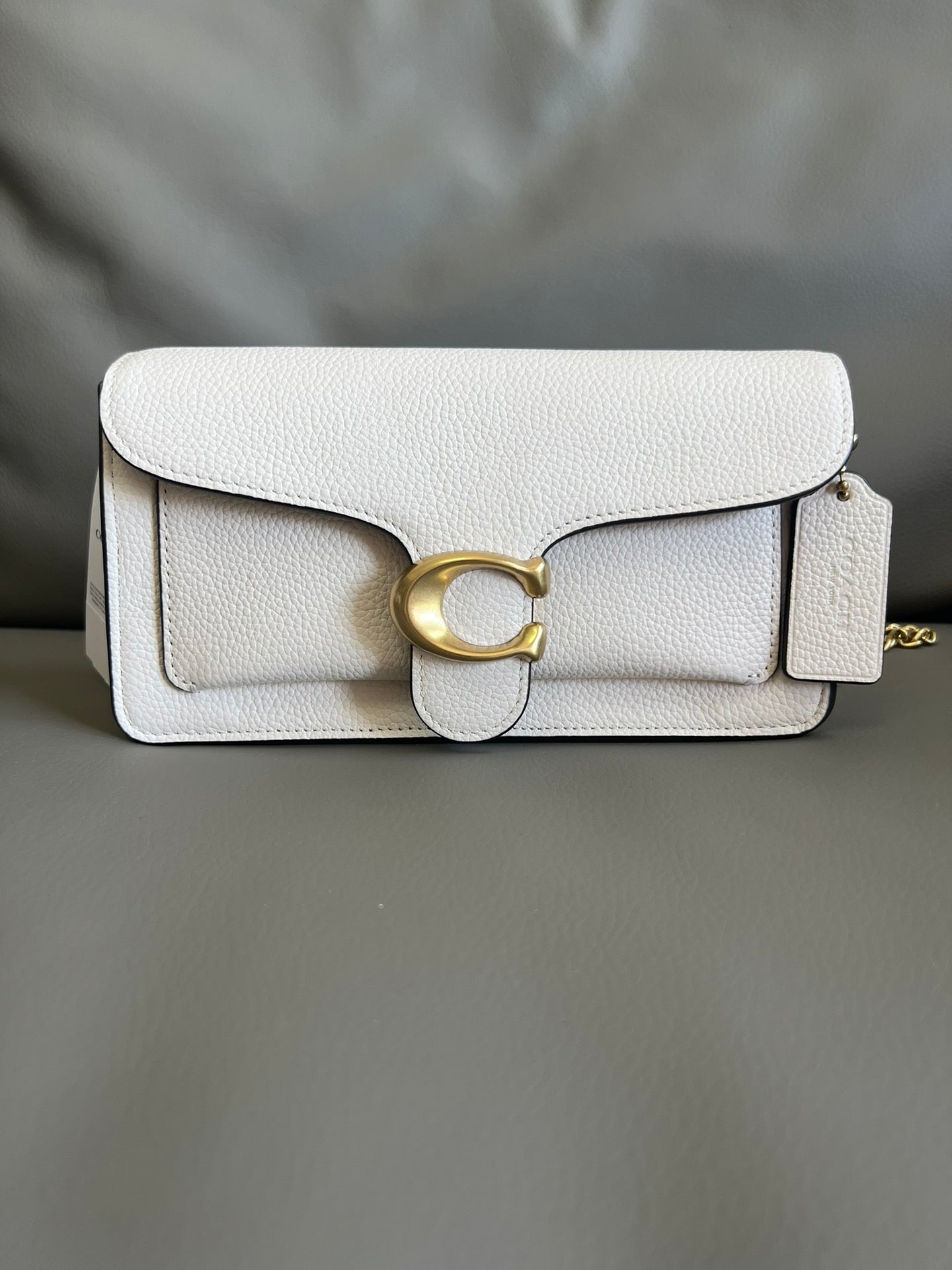 Mini Tabby Chain Bag