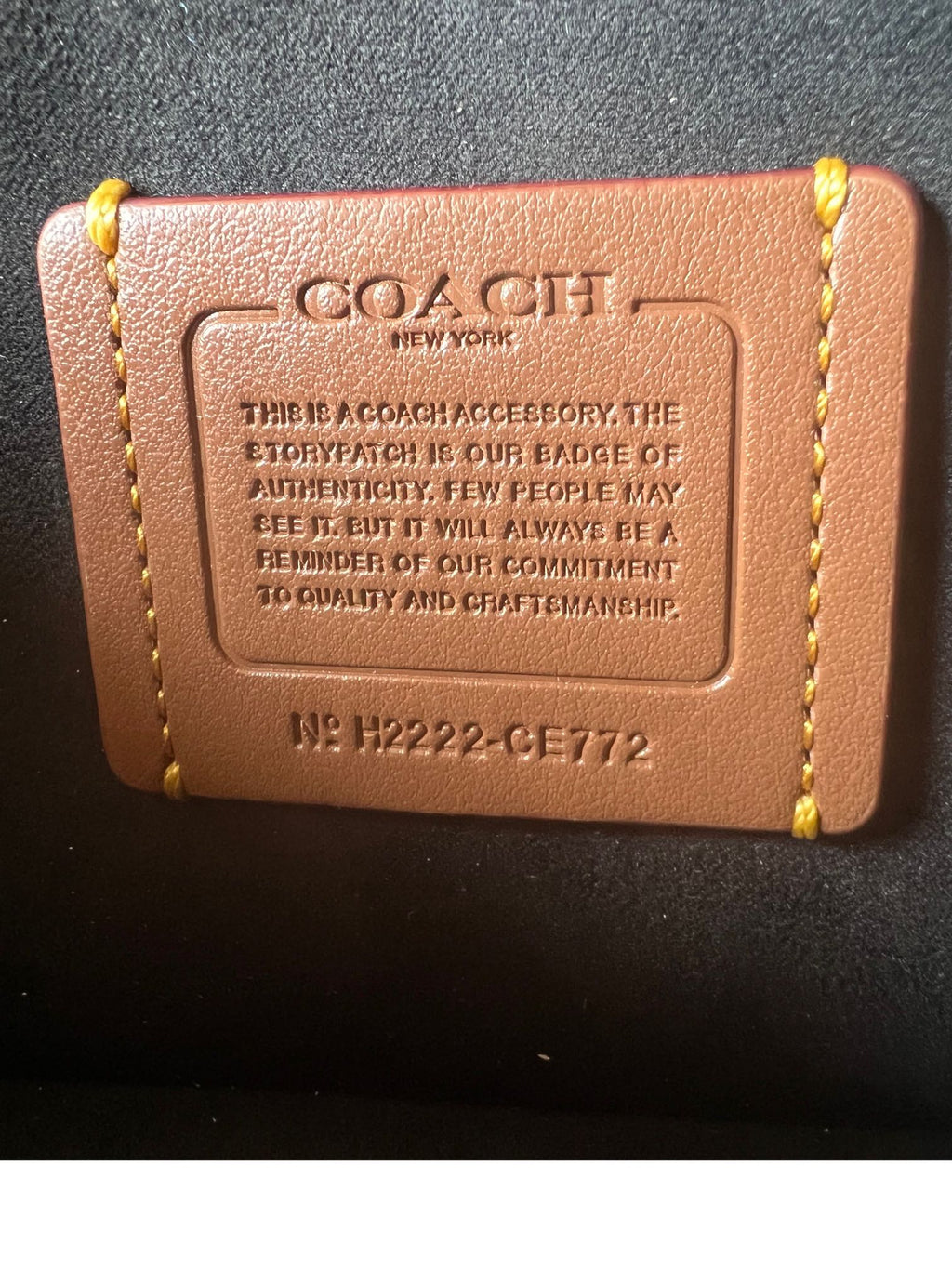 Mini Tabby Chain Bag