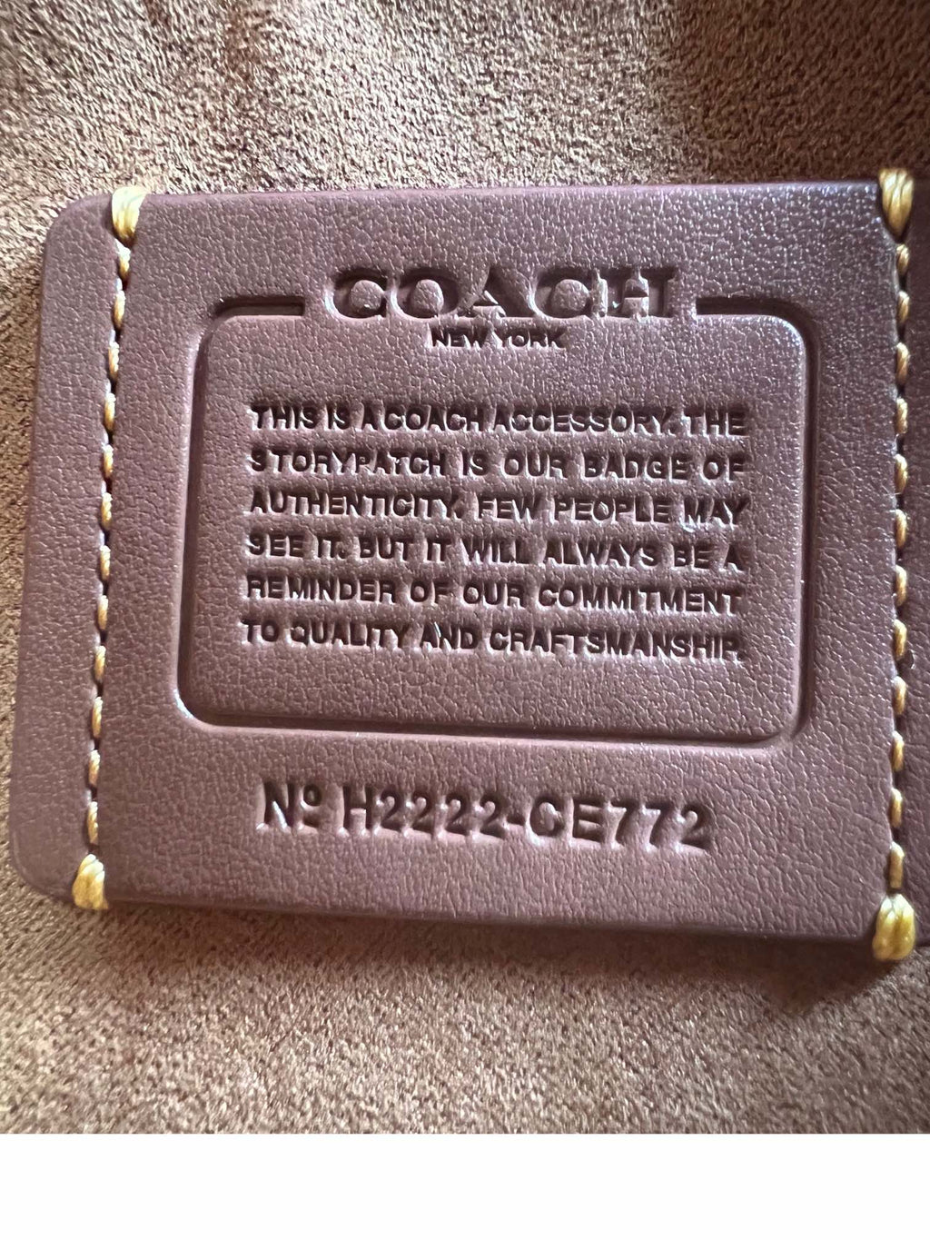 Mini Tabby Chain Bag