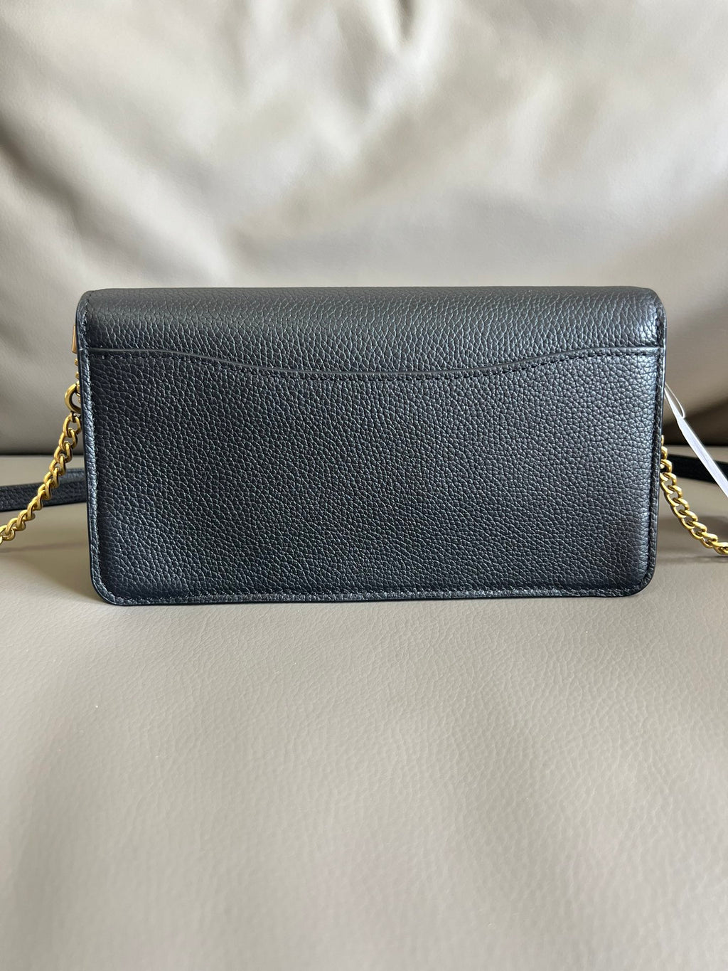 Mini Tabby Chain Bag