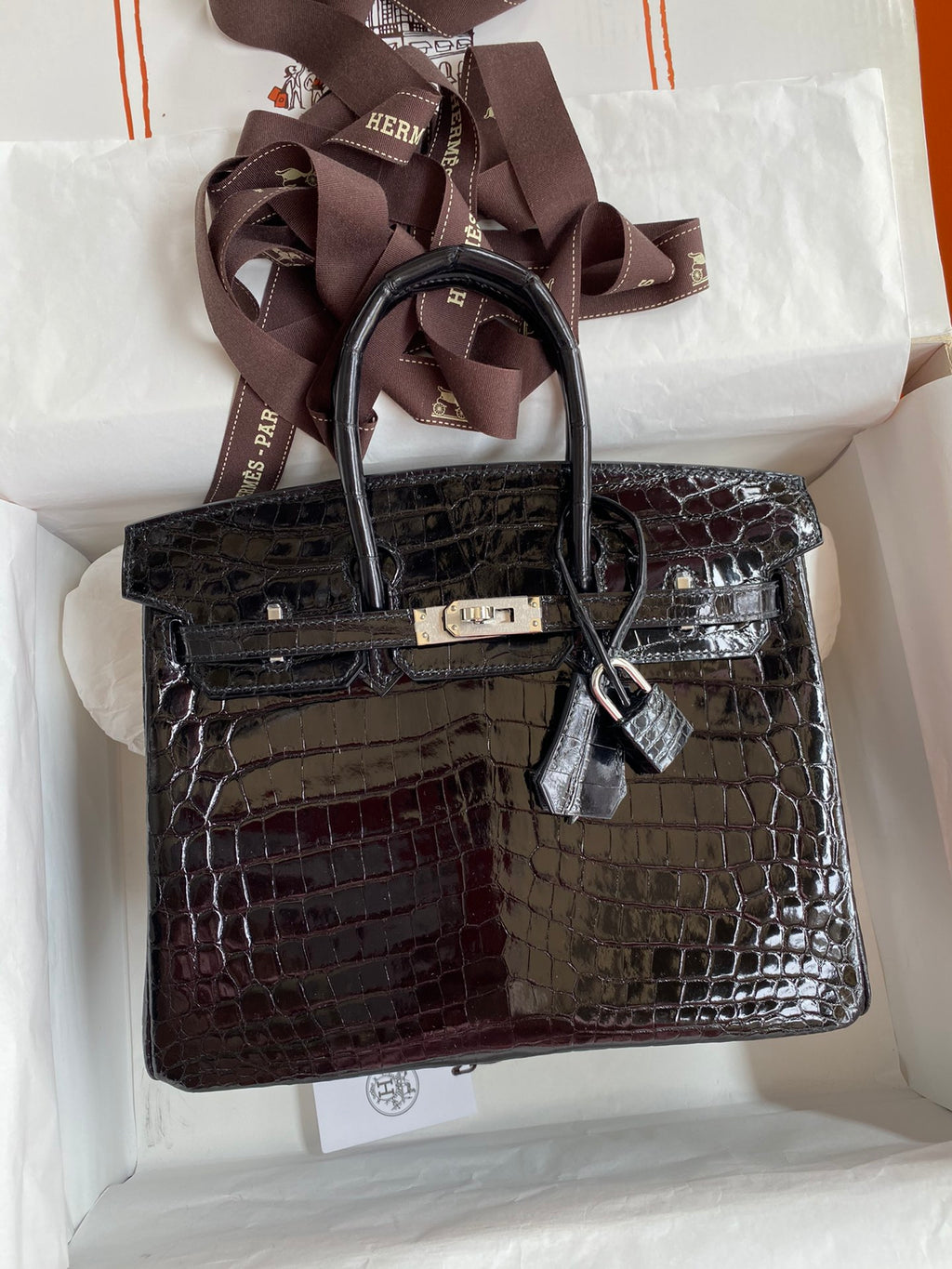 Birkin 25cm Alligator Leather Bag