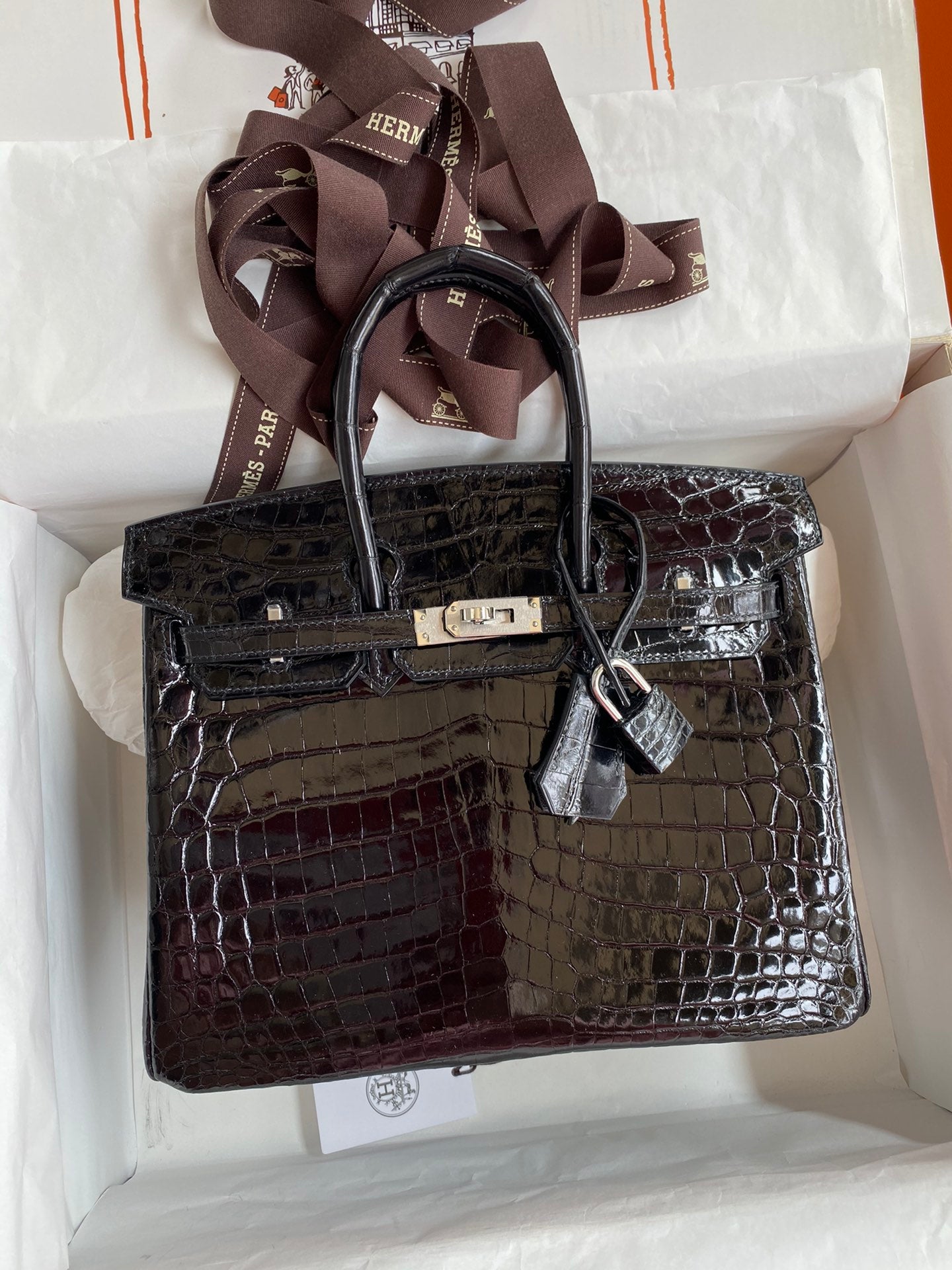 Birkin 25cm Alligator Leather Bag