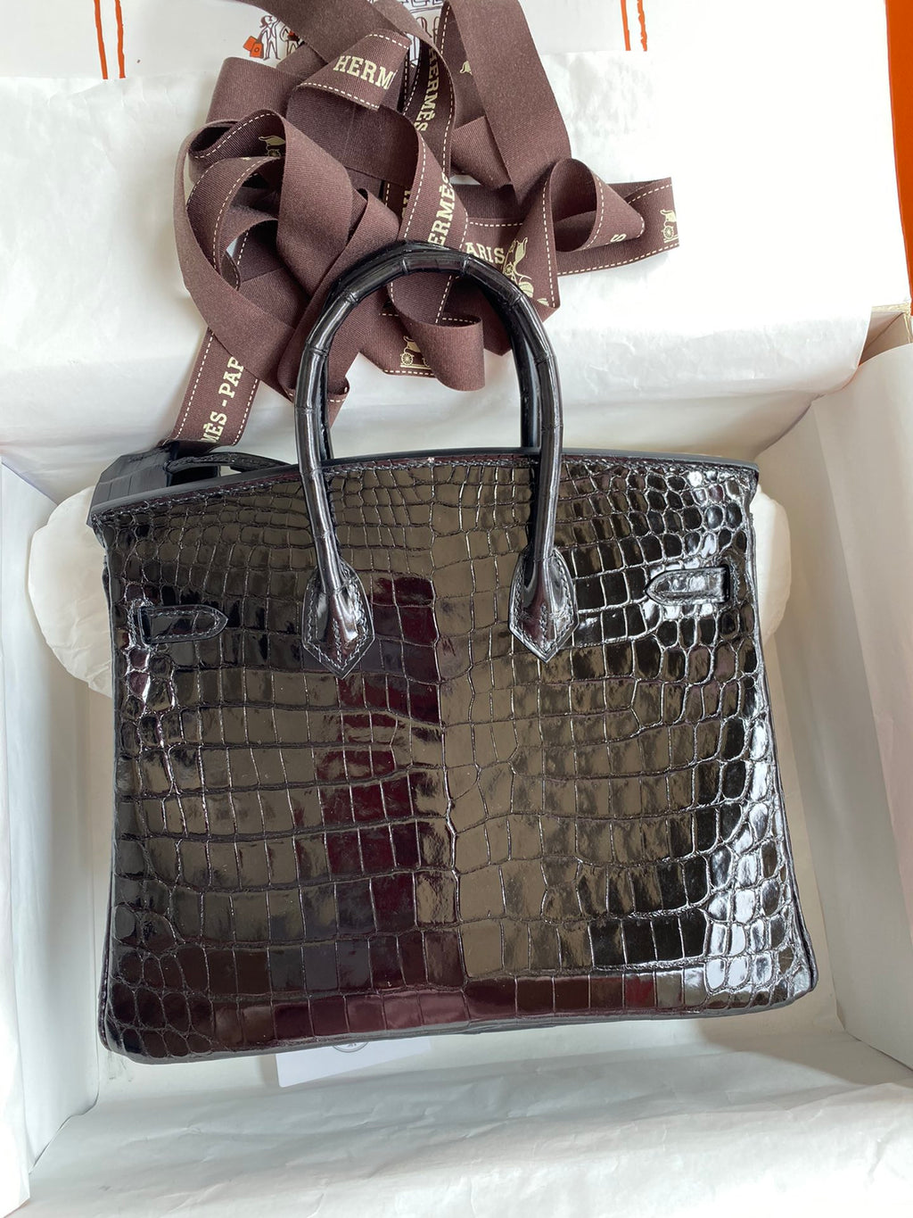 Birkin 25cm Alligator Leather Bag