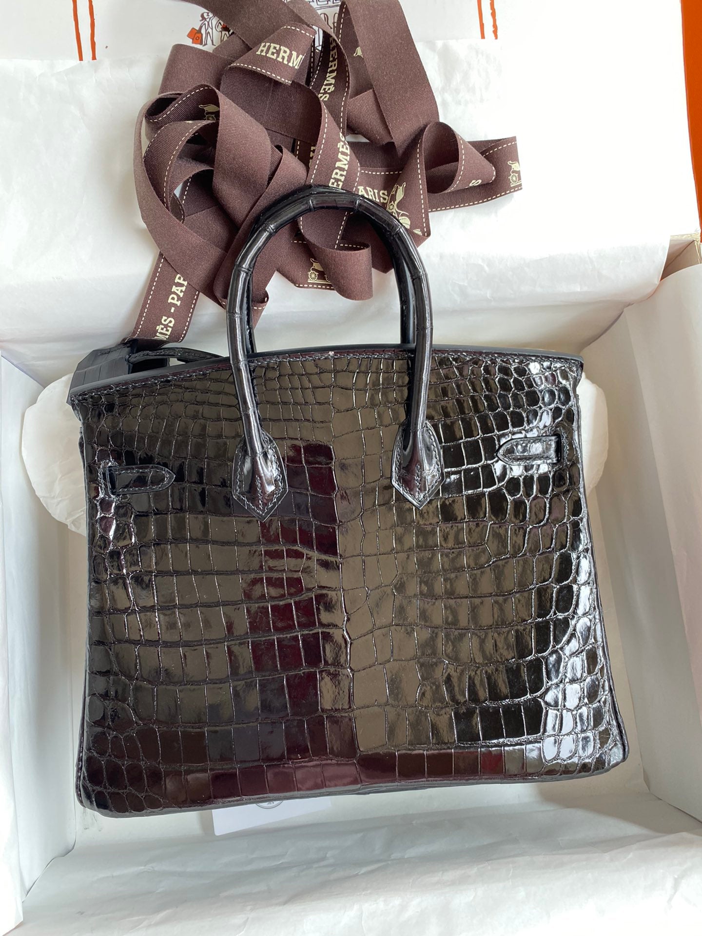 Birkin 25cm Alligator Leather Bag