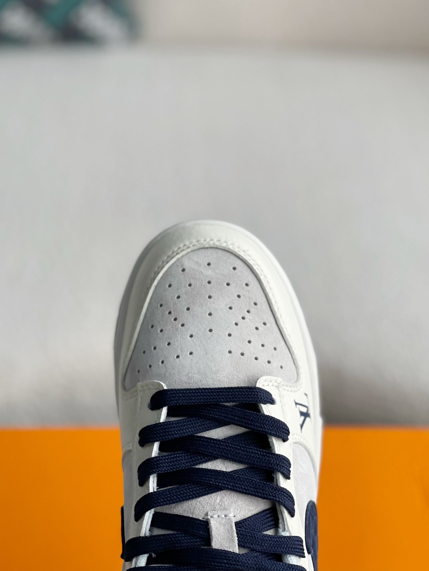 LV x Dunk Low Top-board Shoes