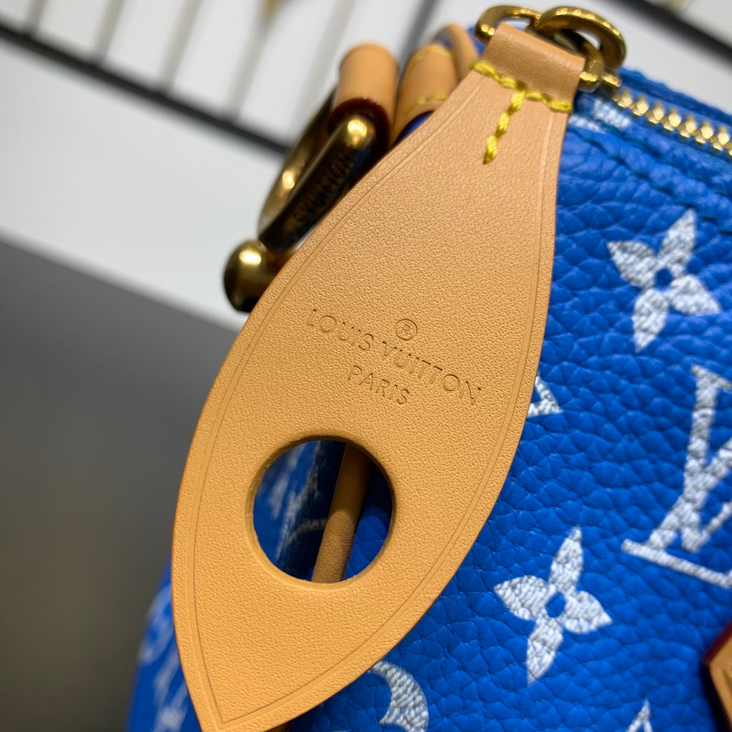 Speedy Bandoulière 25 Bag