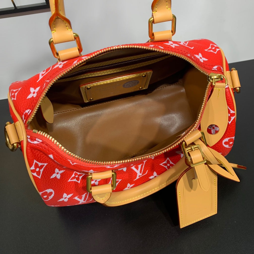 Speedy Bandoulière 25 Bag