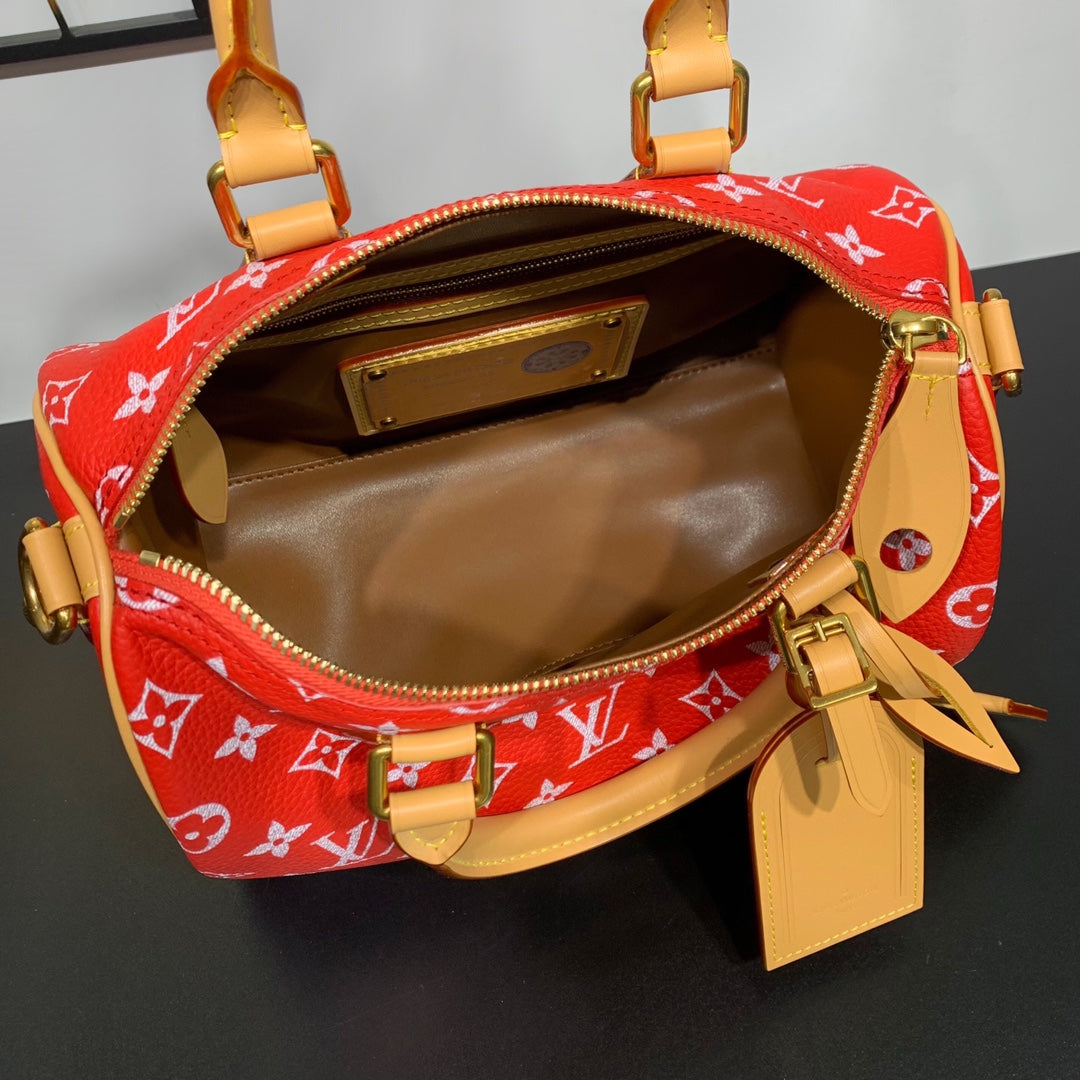 Speedy Bandoulière 25 Bag