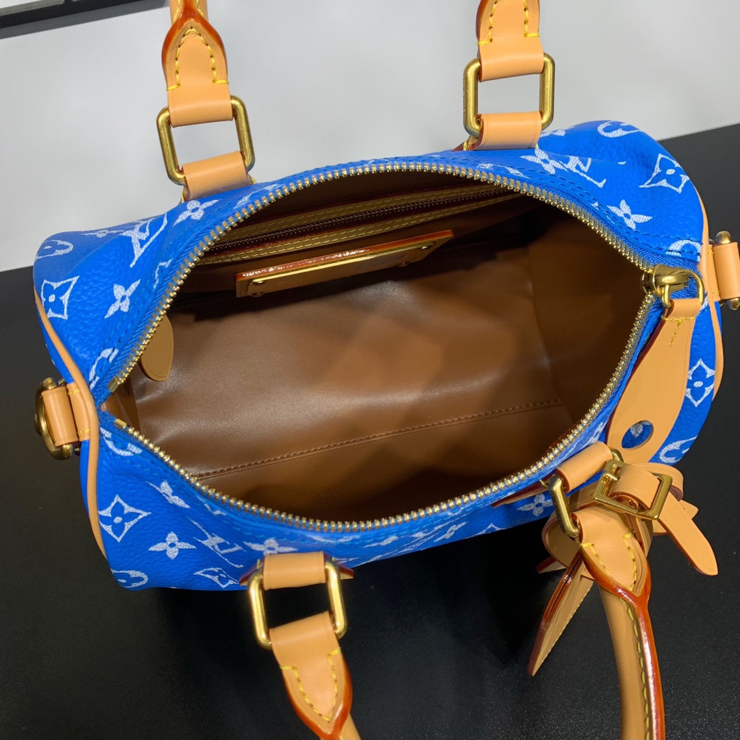 Speedy Bandoulière 25 Bag