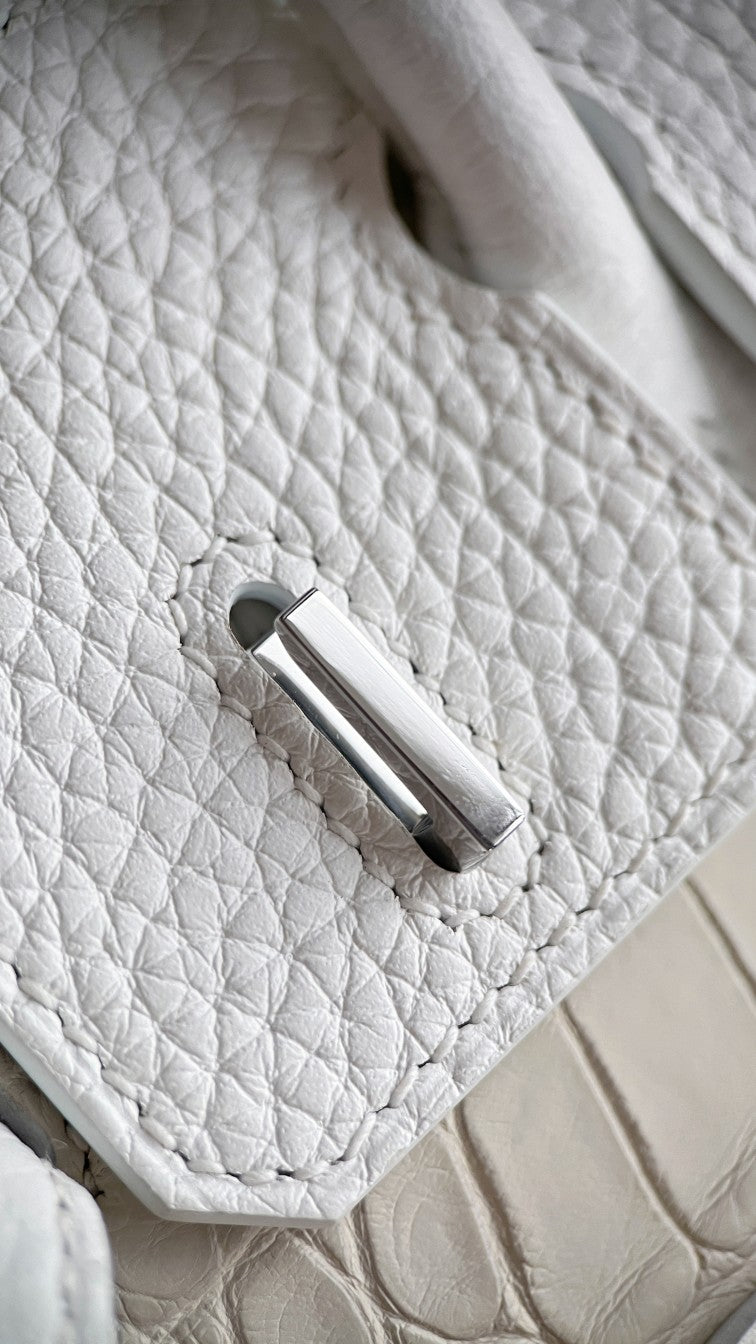 Birkin 20 Faubourg Handbag