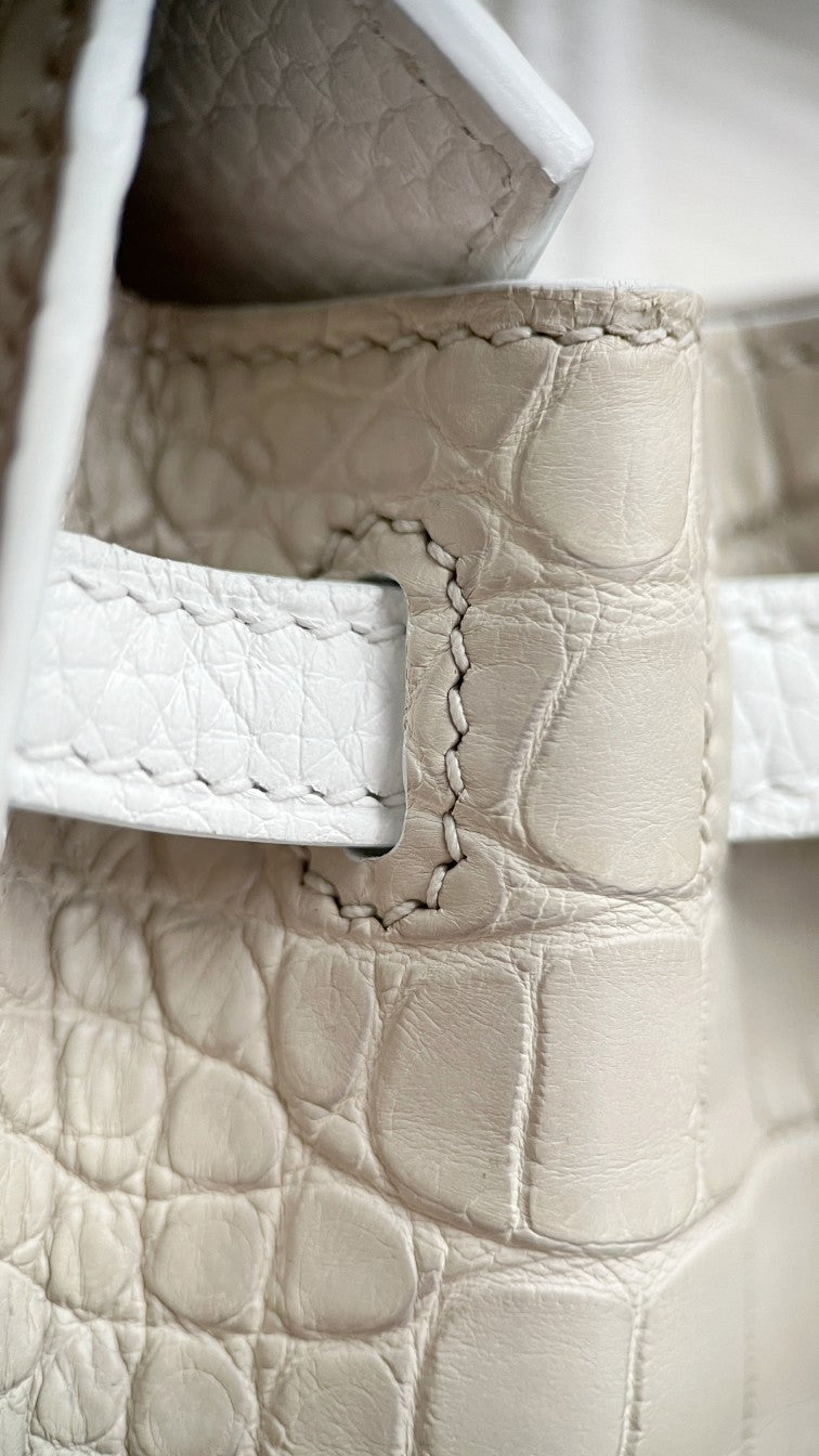 Birkin 20 Faubourg Handbag