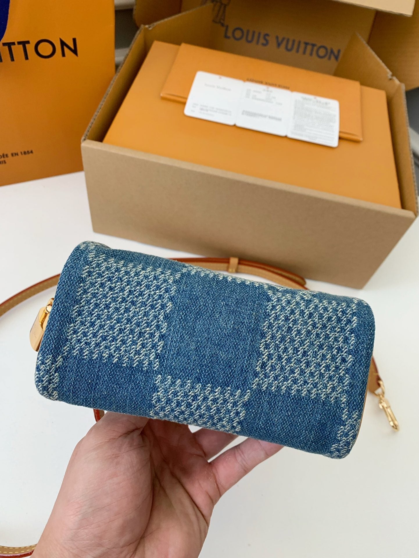 Mini Denim Damier Speedy Bag