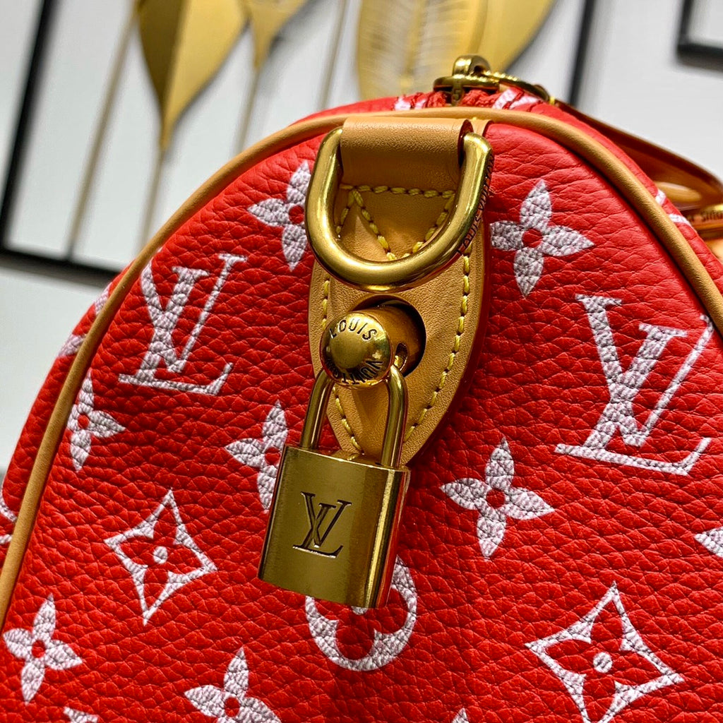 Speedy Bandoulière 25 Bag