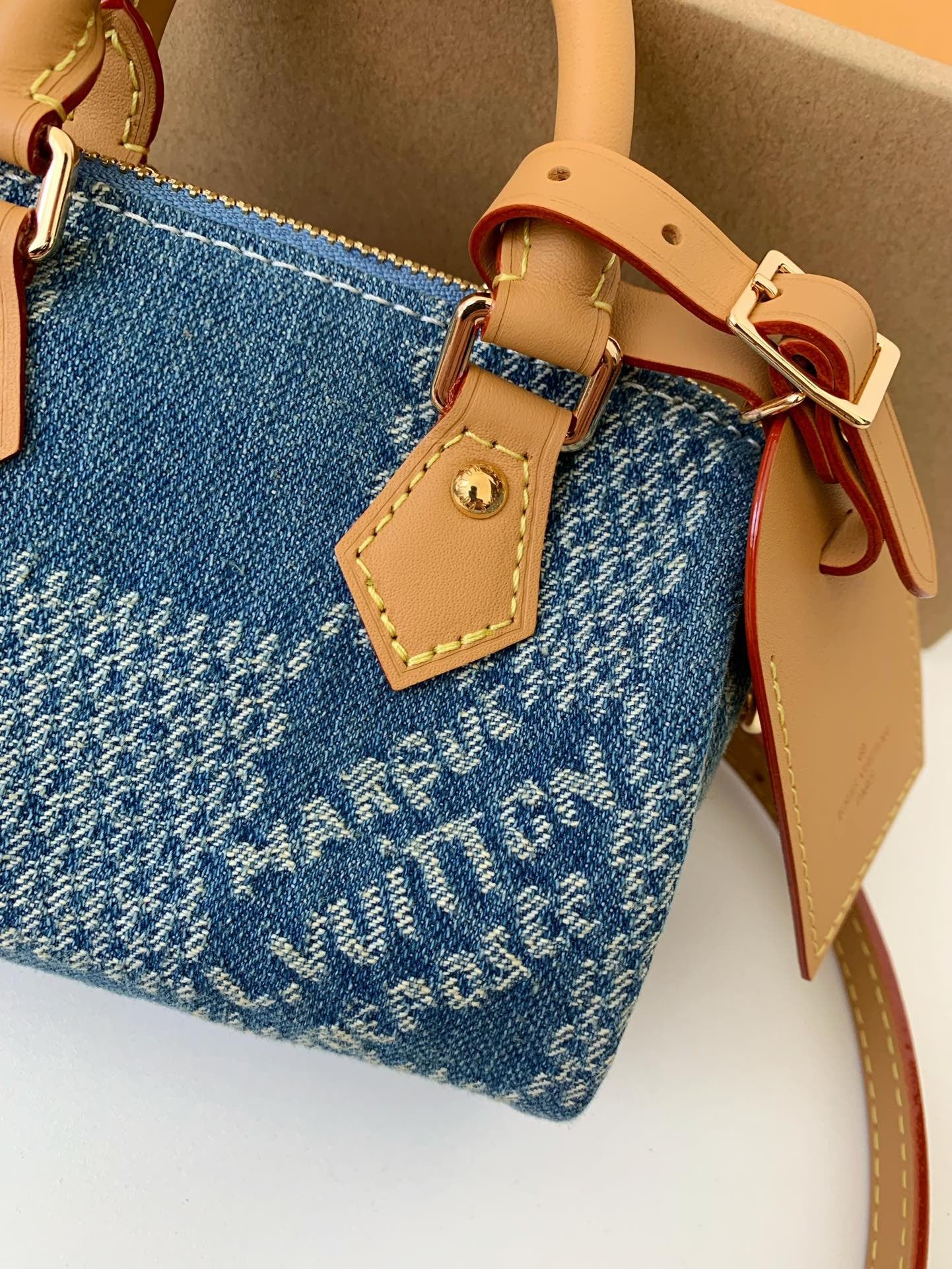 Mini Denim Damier Speedy Bag