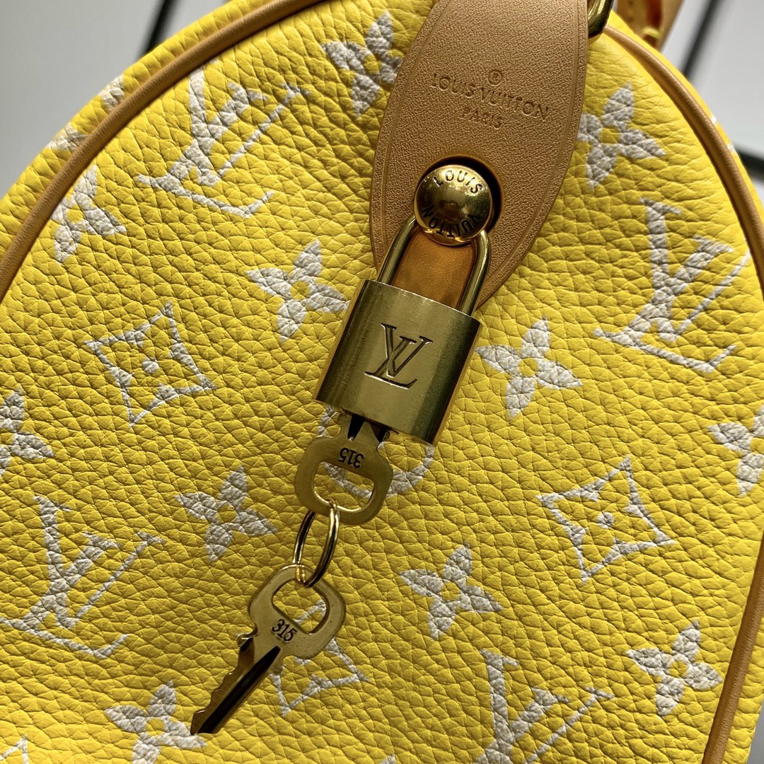 Speedy Bandoulière 25 Bag