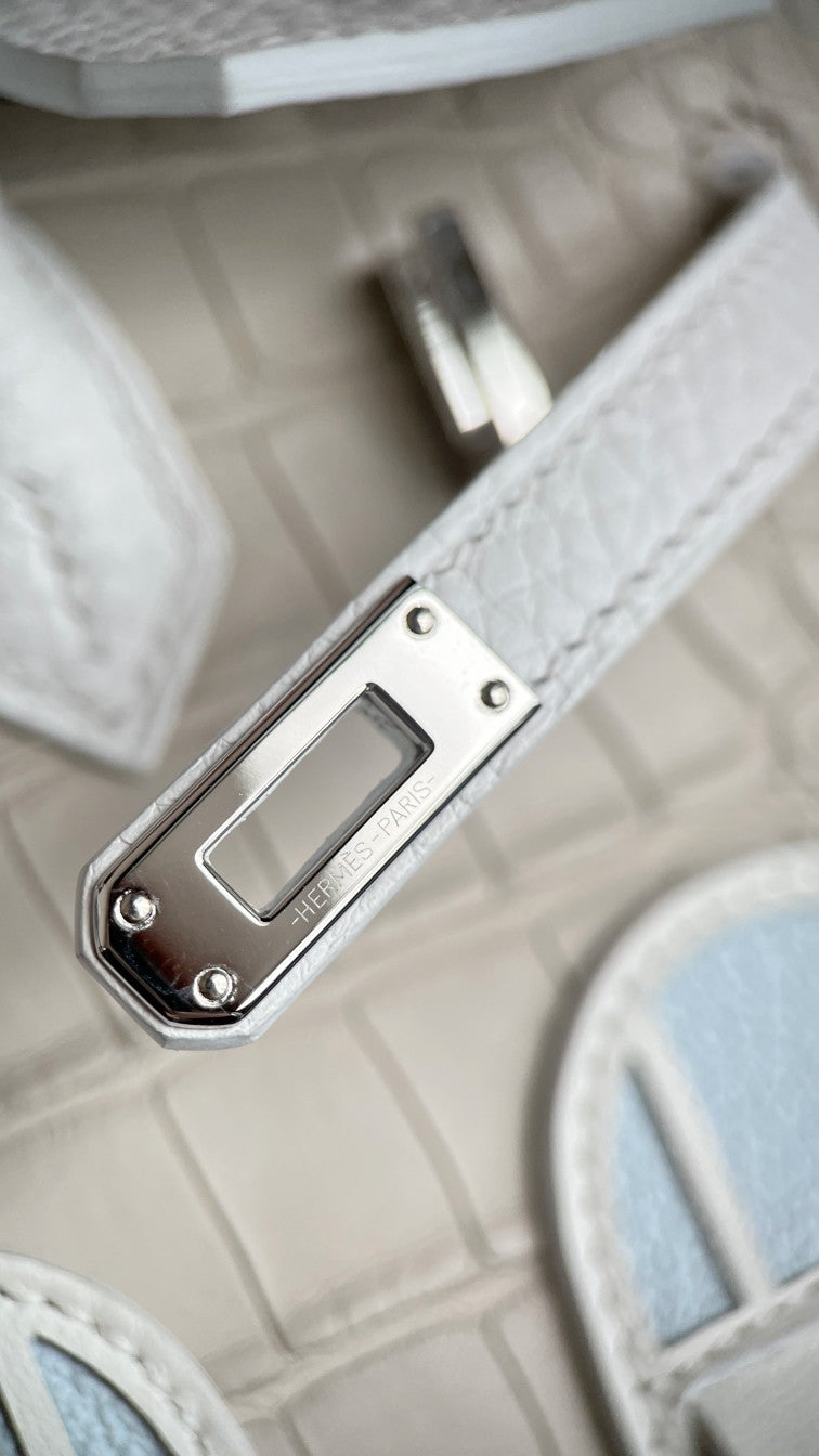 Birkin 20 Faubourg Handbag