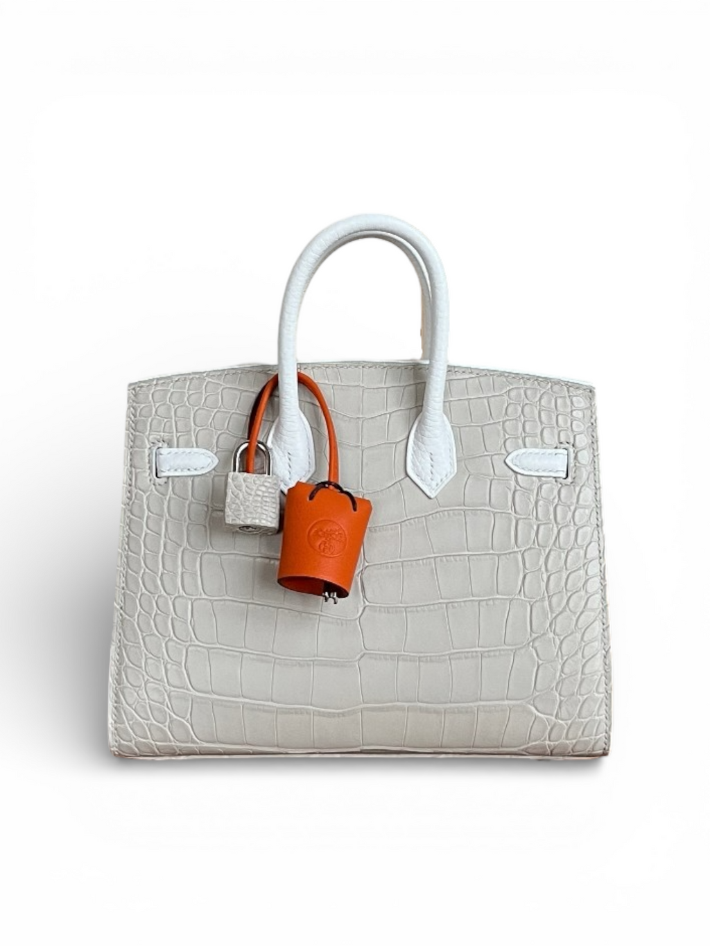 Birkin 20 Faubourg Handbag