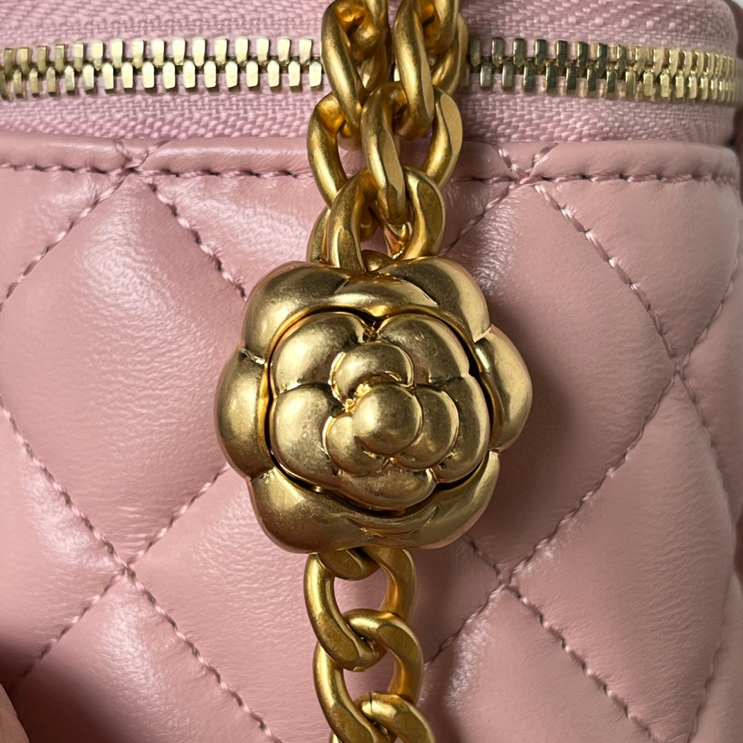 Mini Vanity Case Bag