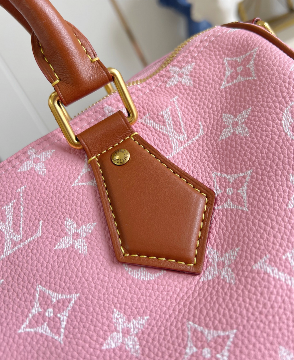 Speedy Bandoulière 30 Monogram Canvas