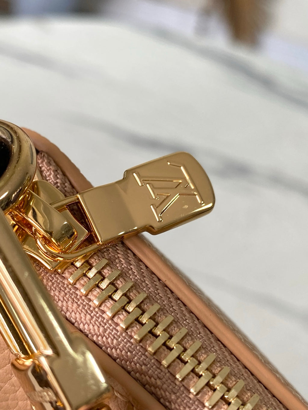 Multipass Leather Shoulder Bag