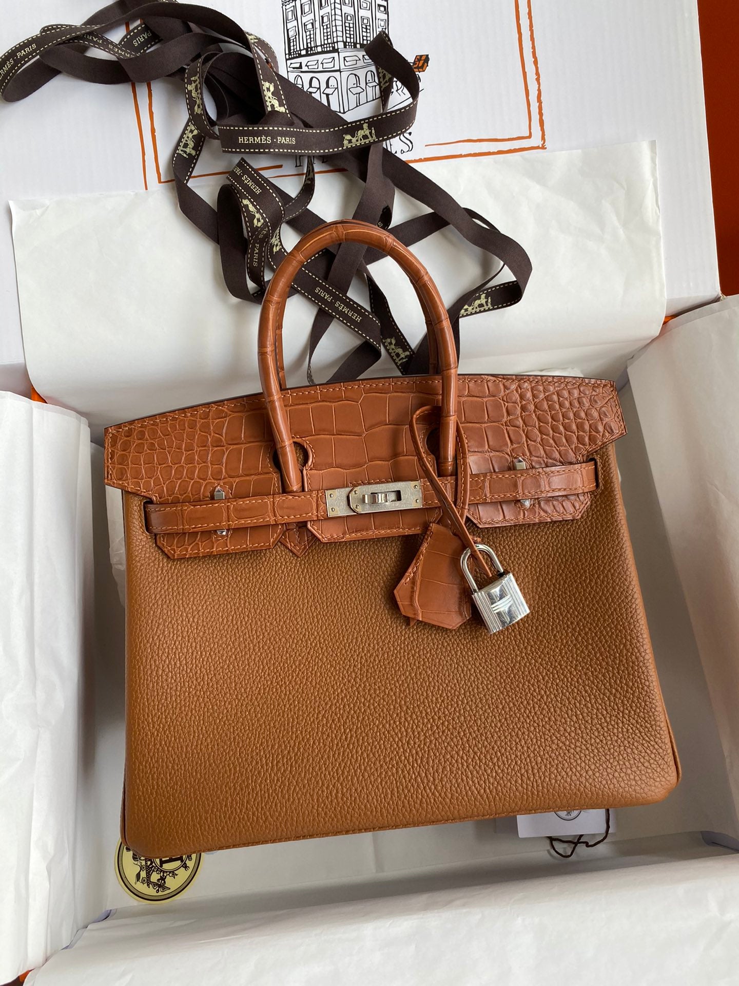 Birkin 25 Togo Leather & Crocodile Leather Bag