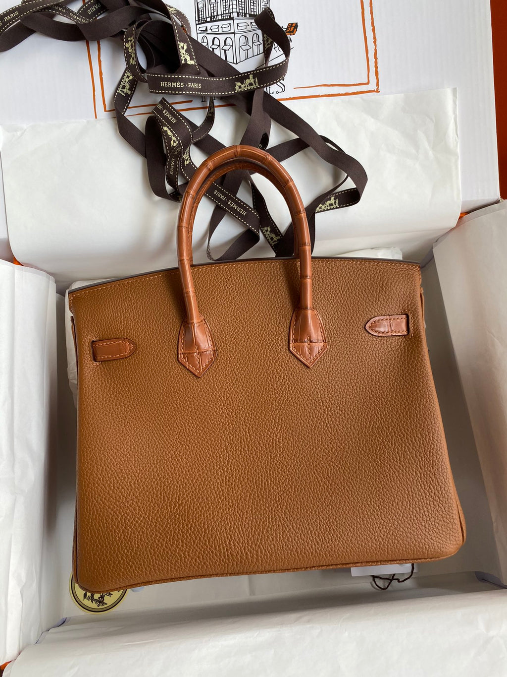Birkin 25 Togo Leather & Crocodile Leather Bag
