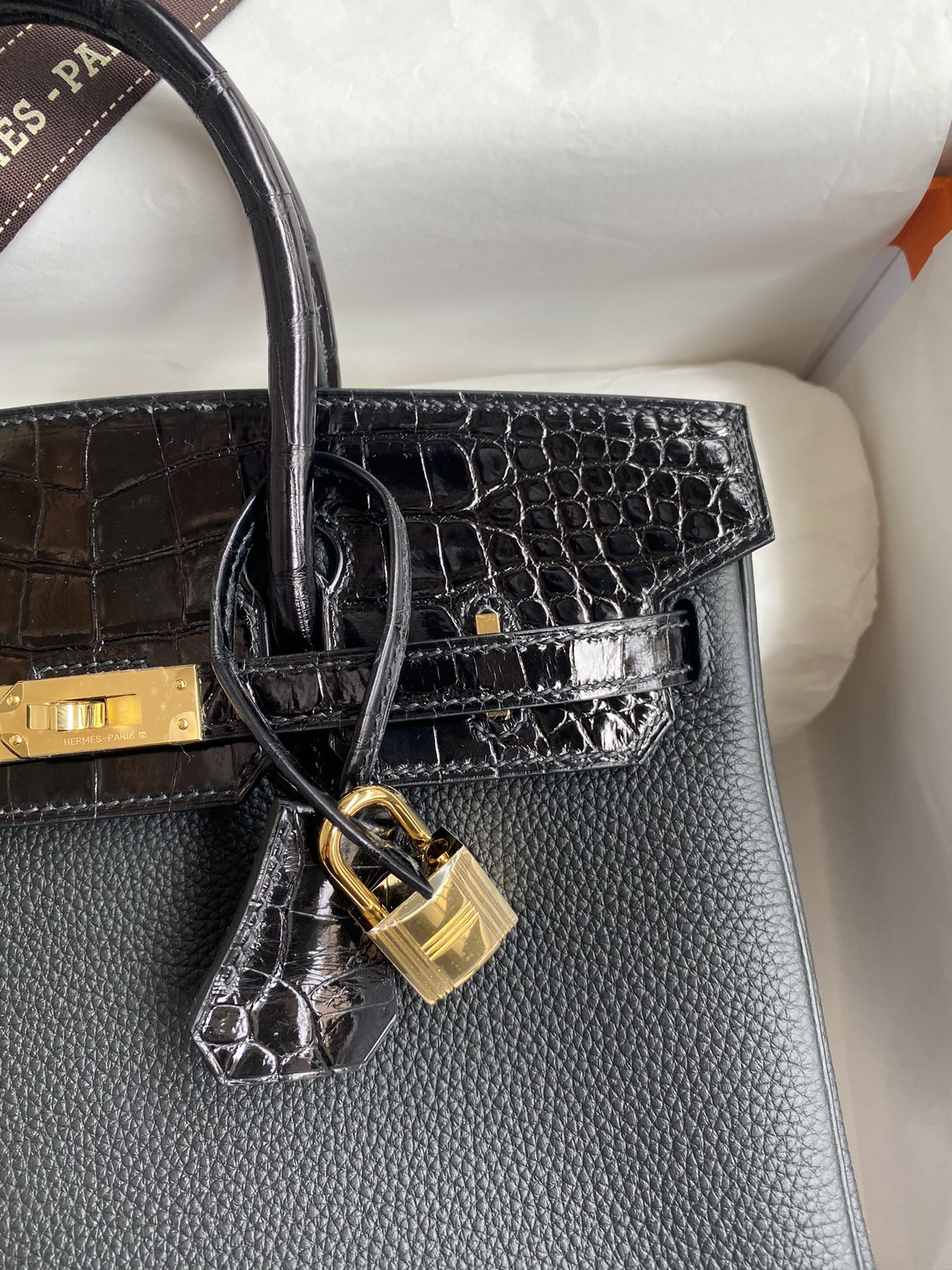 Birkin 25 Togo Leather & Crocodile Leather Bag