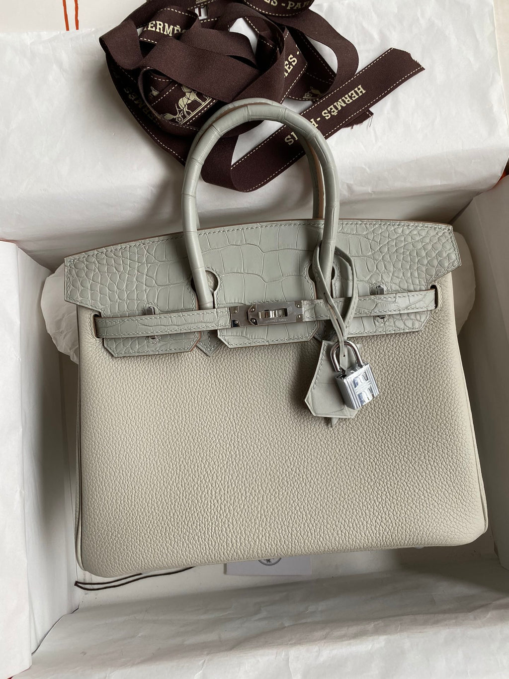 Birkin 25 Togo Leather & Crocodile Leather Bag