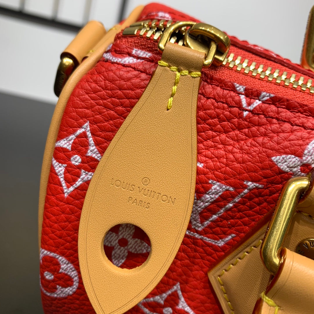 Speedy Bandoulière 25 Bag