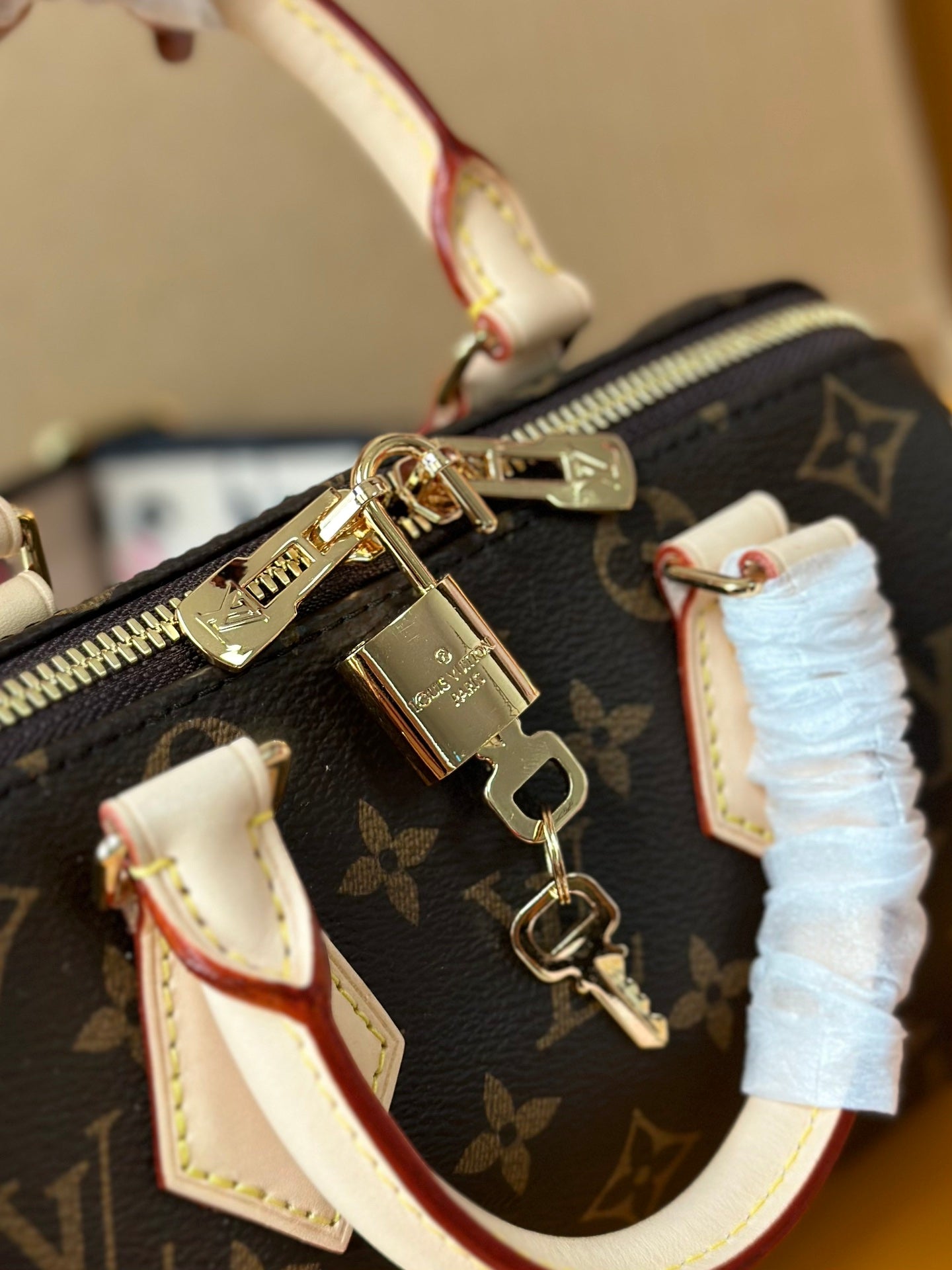 Speedy Bandoulière 20 Monogram Canvas