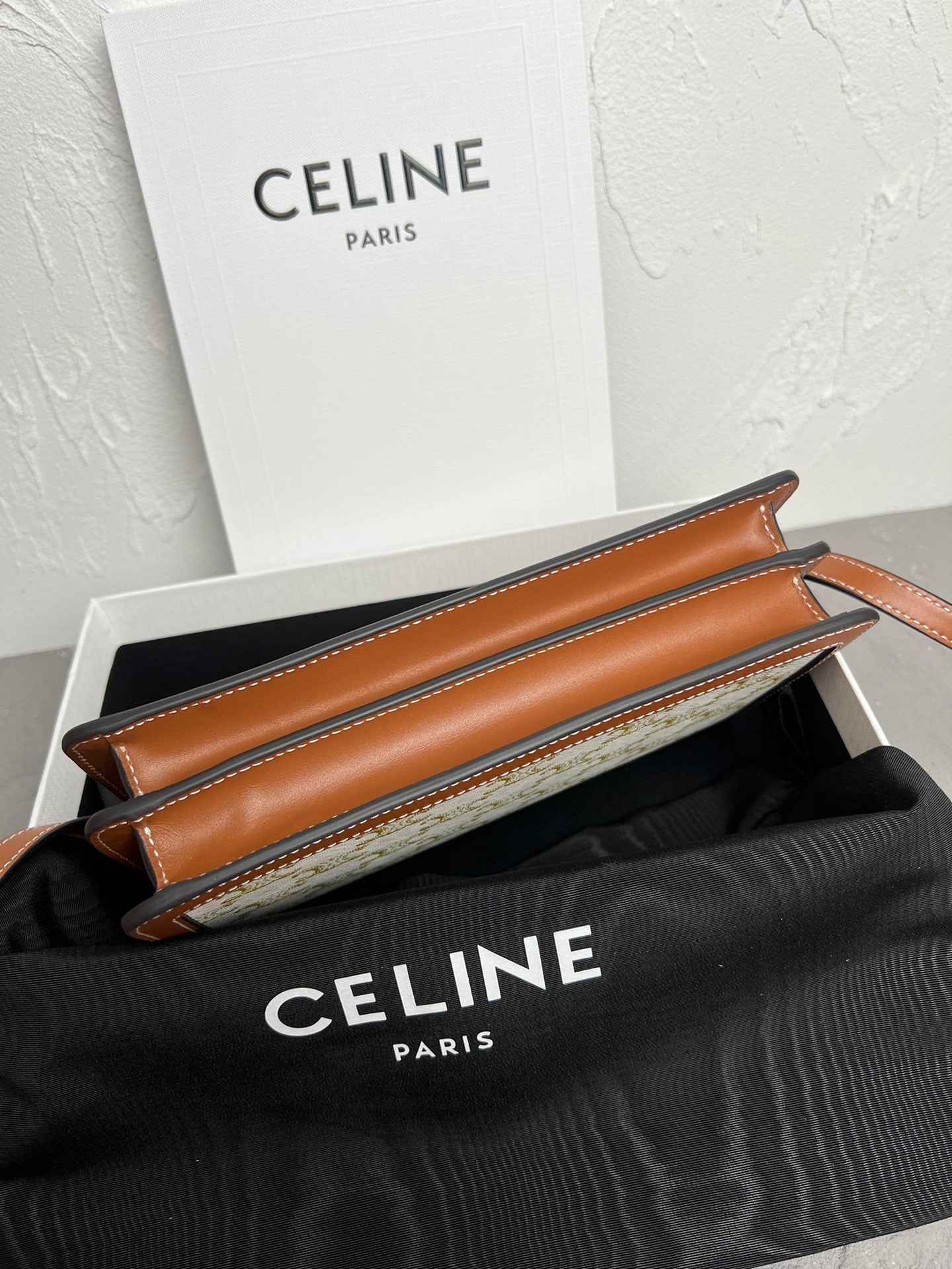 Triomphe Canvas Large Wallet on Chain