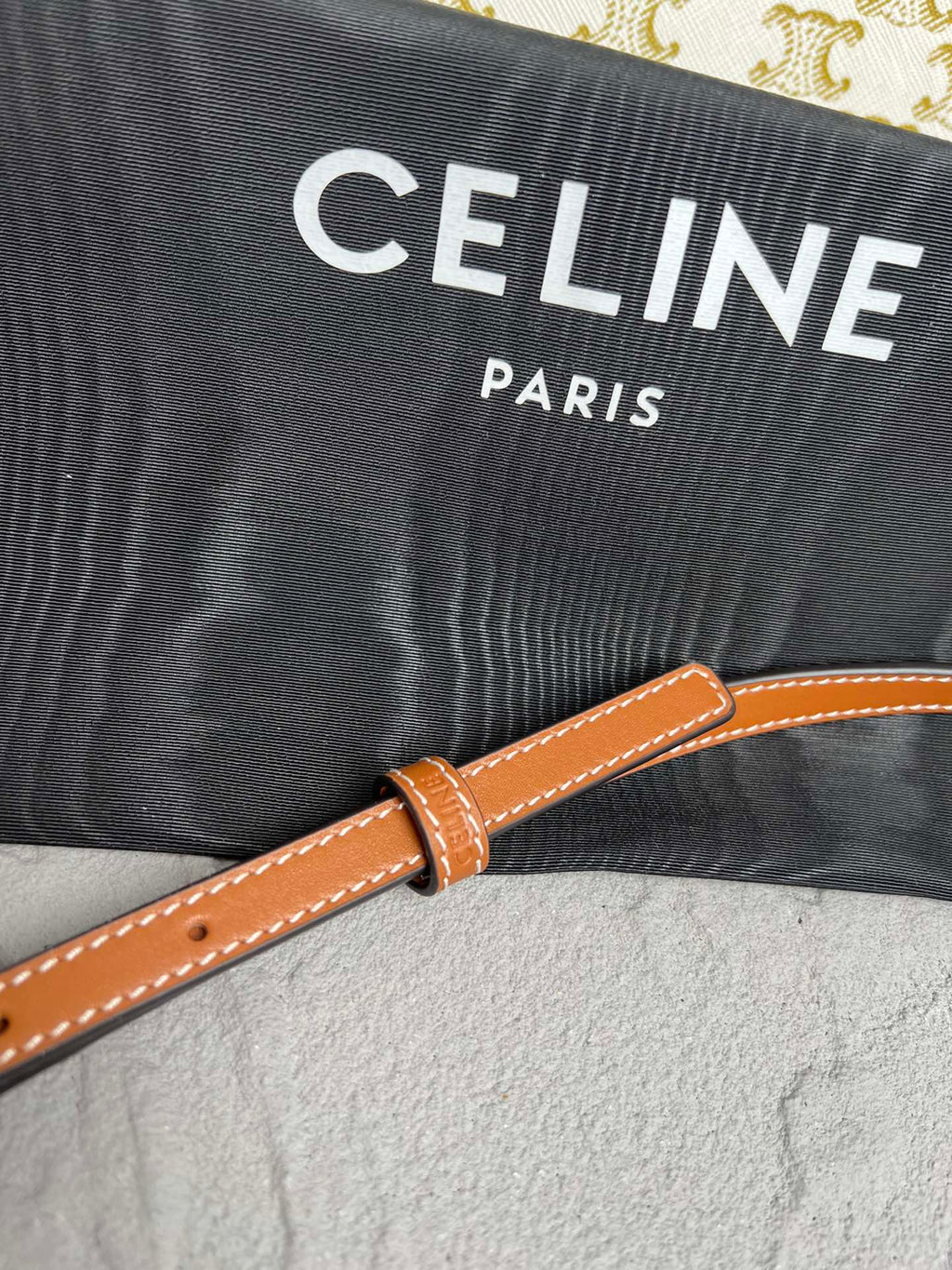 Triomphe Canvas Large Wallet on Chain