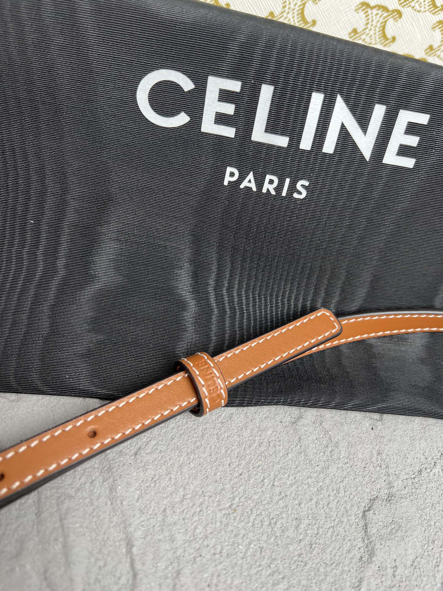 Triomphe Canvas Large Wallet on Chain