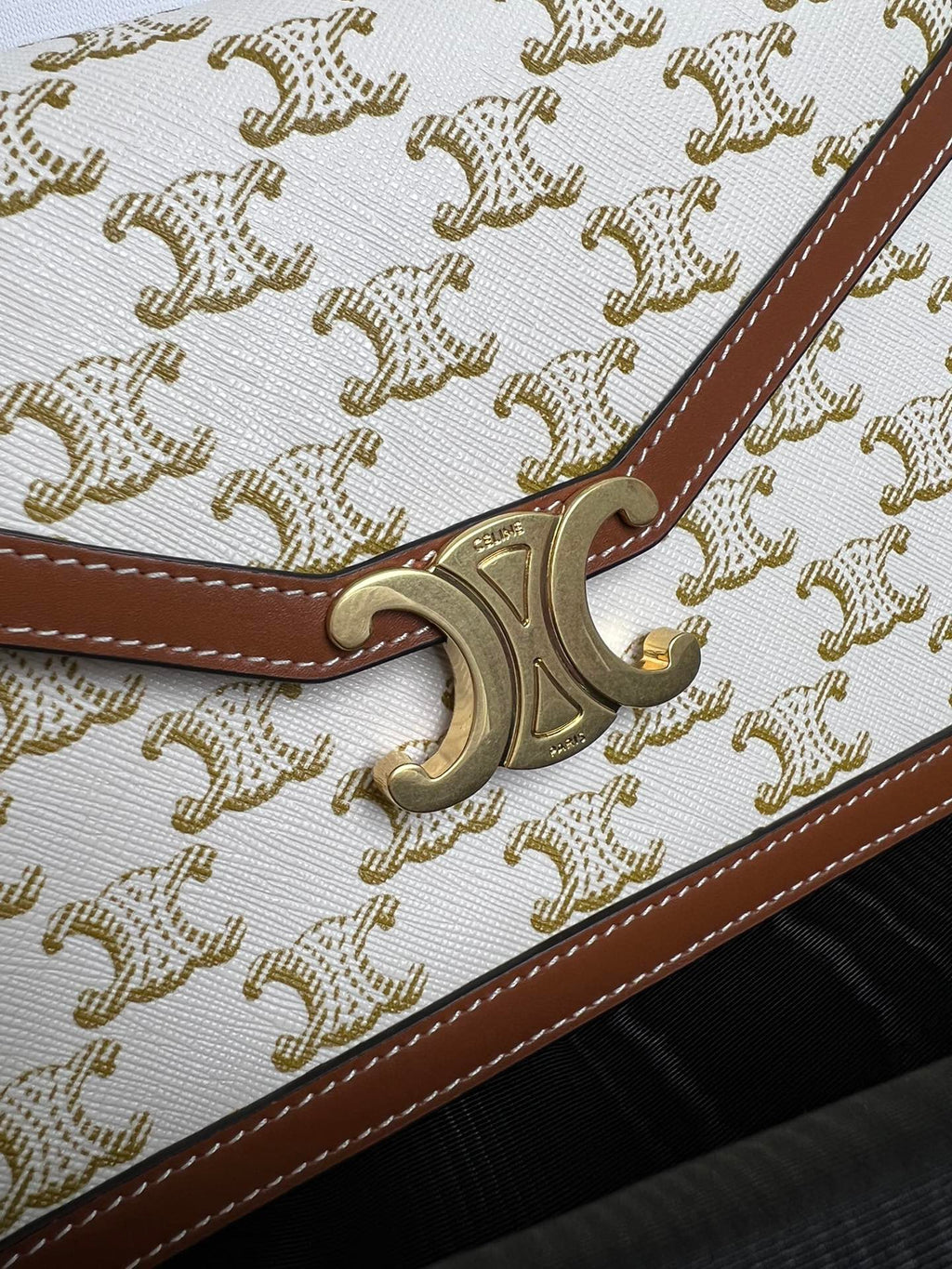 Triomphe Canvas Large Wallet on Chain