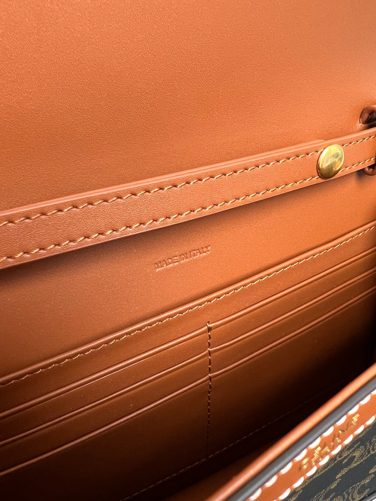 Triomphe Canvas Chain Wallet