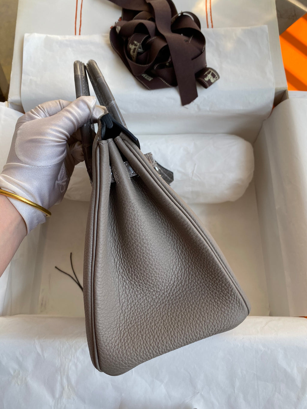 Birkin 25 Togo Leather & Crocodile Leather Bag