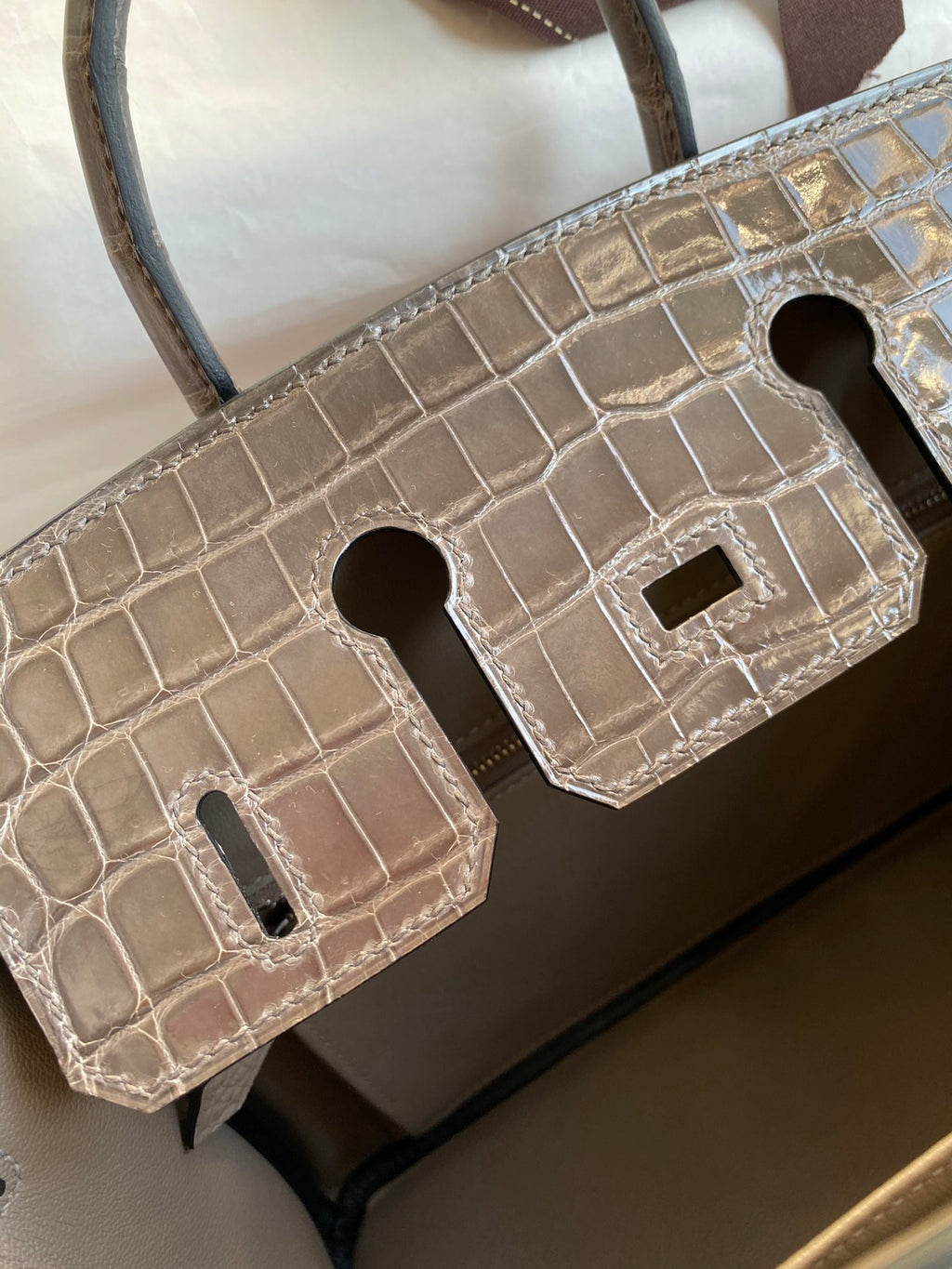 Birkin 25 Togo Leather & Crocodile Leather Bag