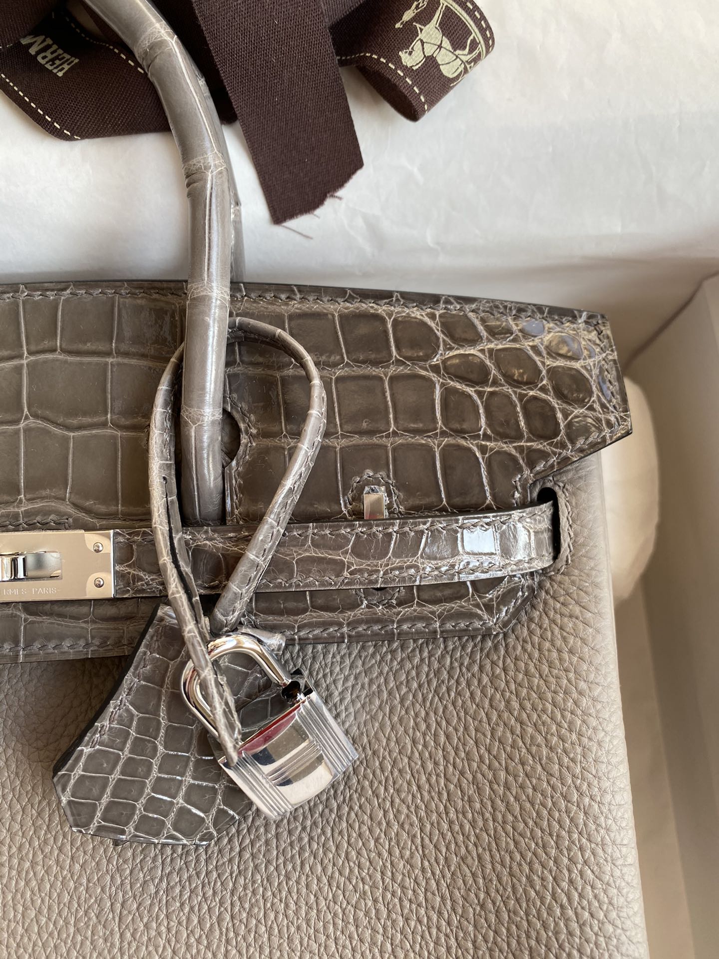 Birkin 25 Togo Leather & Crocodile Leather Bag