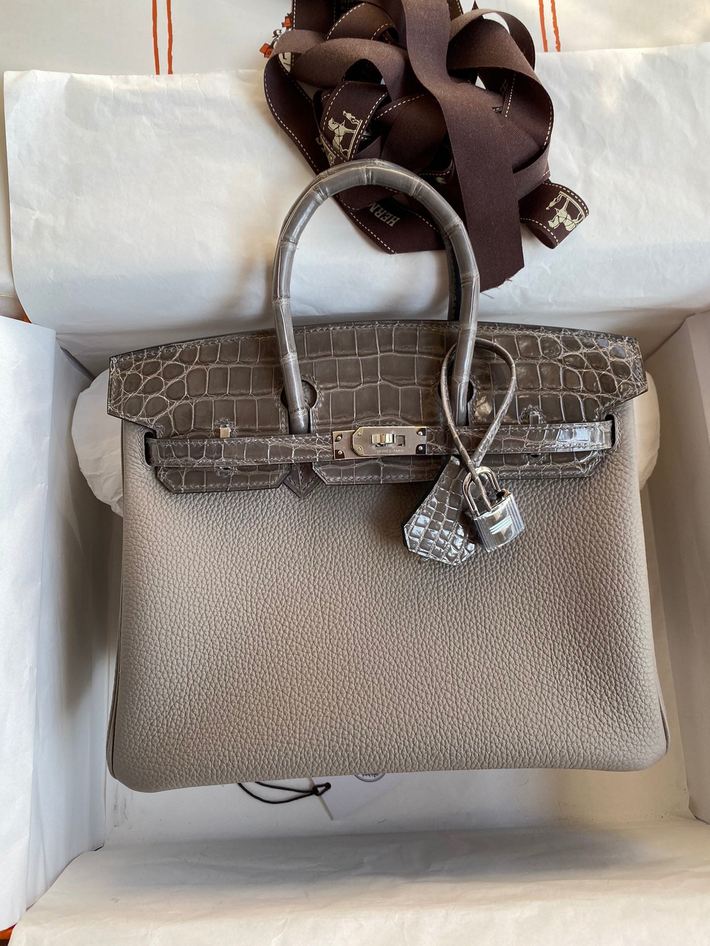 Birkin 25 Togo Leather & Crocodile Leather Bag