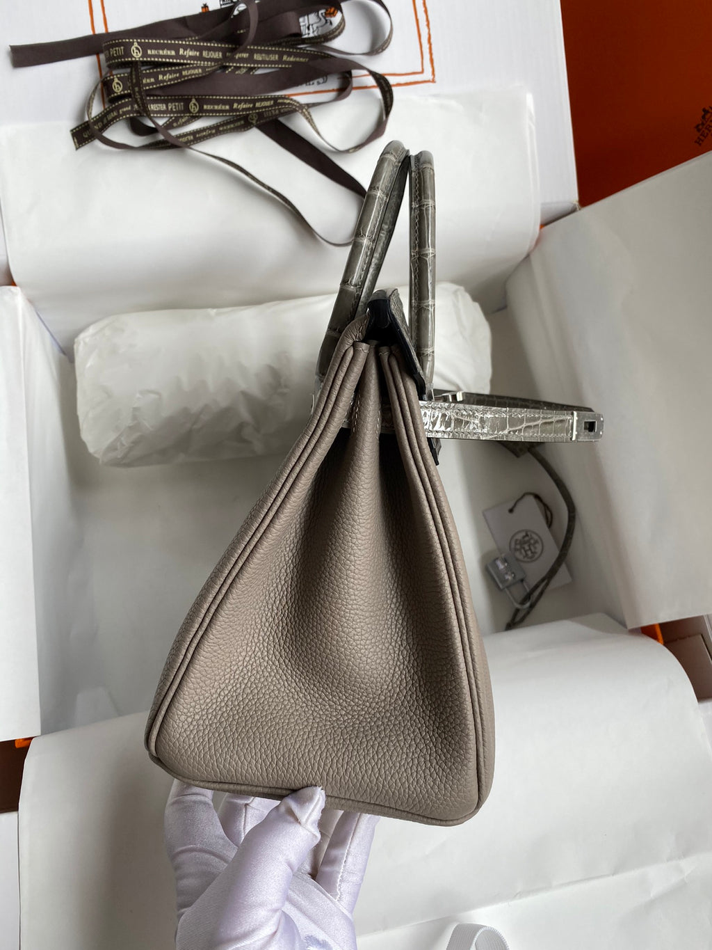 Birkin 25 Togo Leather & Crocodile Leather Bag