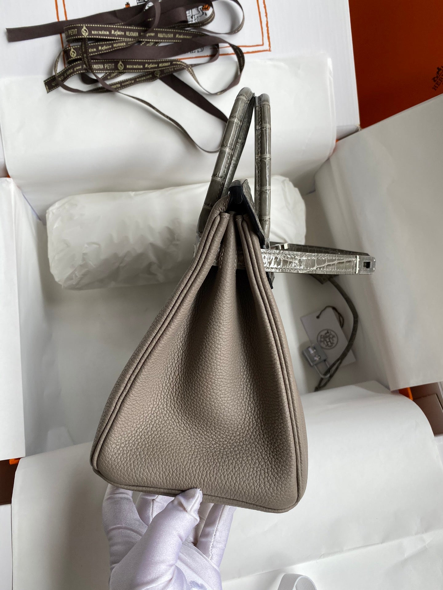 Birkin 25 Togo Leather & Crocodile Leather Bag