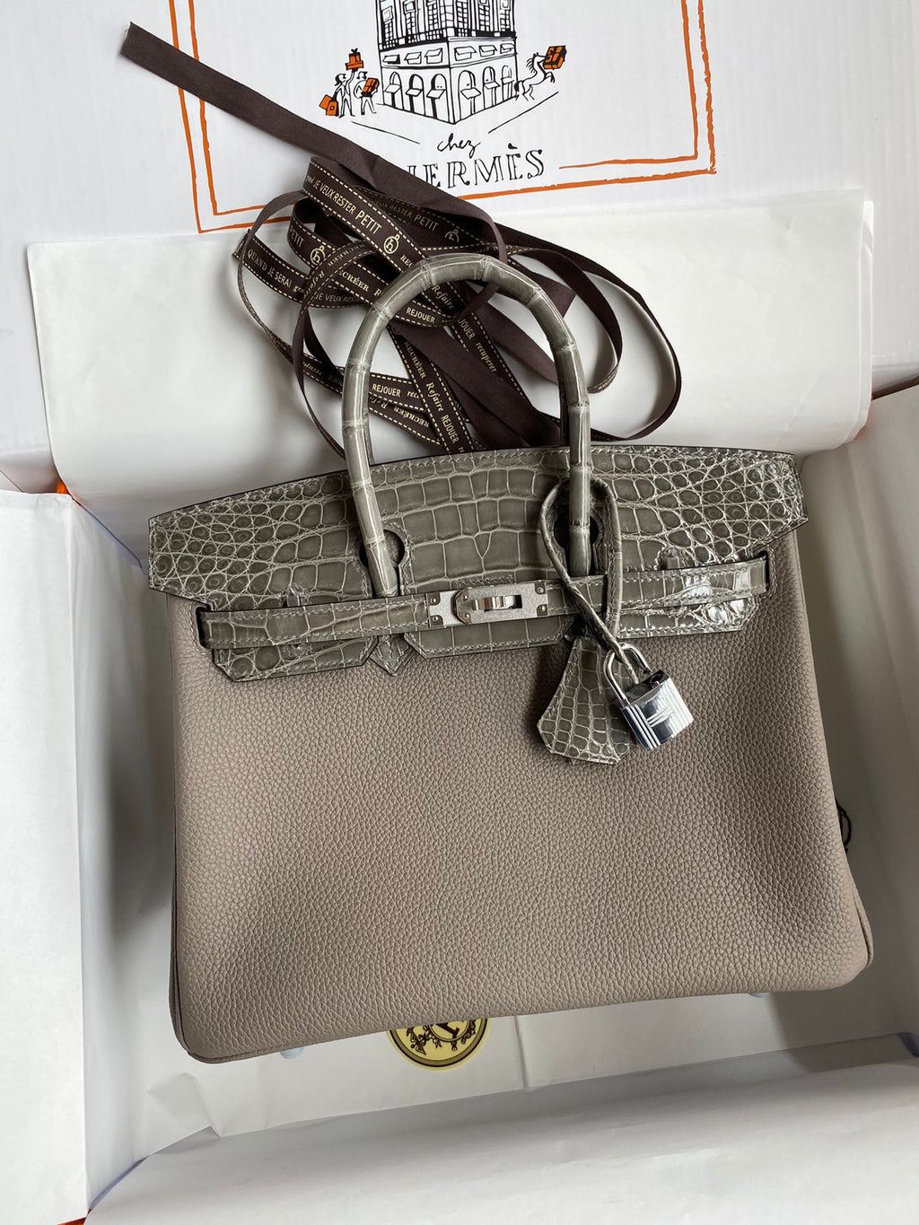 Birkin 25 Togo Leather & Crocodile Leather Bag