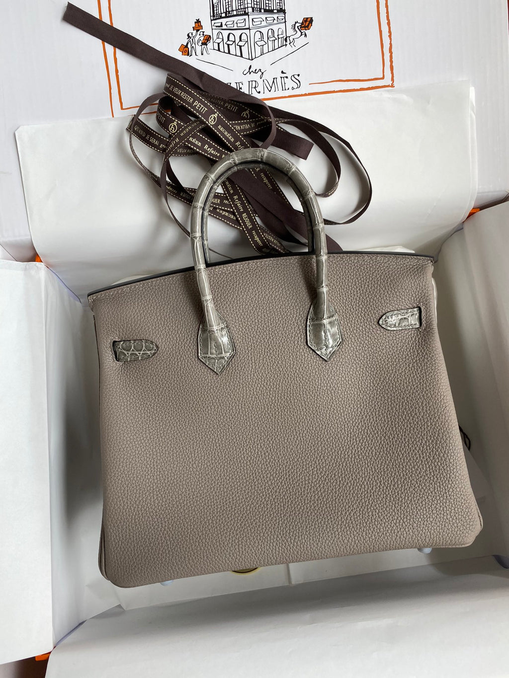 Birkin 25 Togo Leather & Crocodile Leather Bag